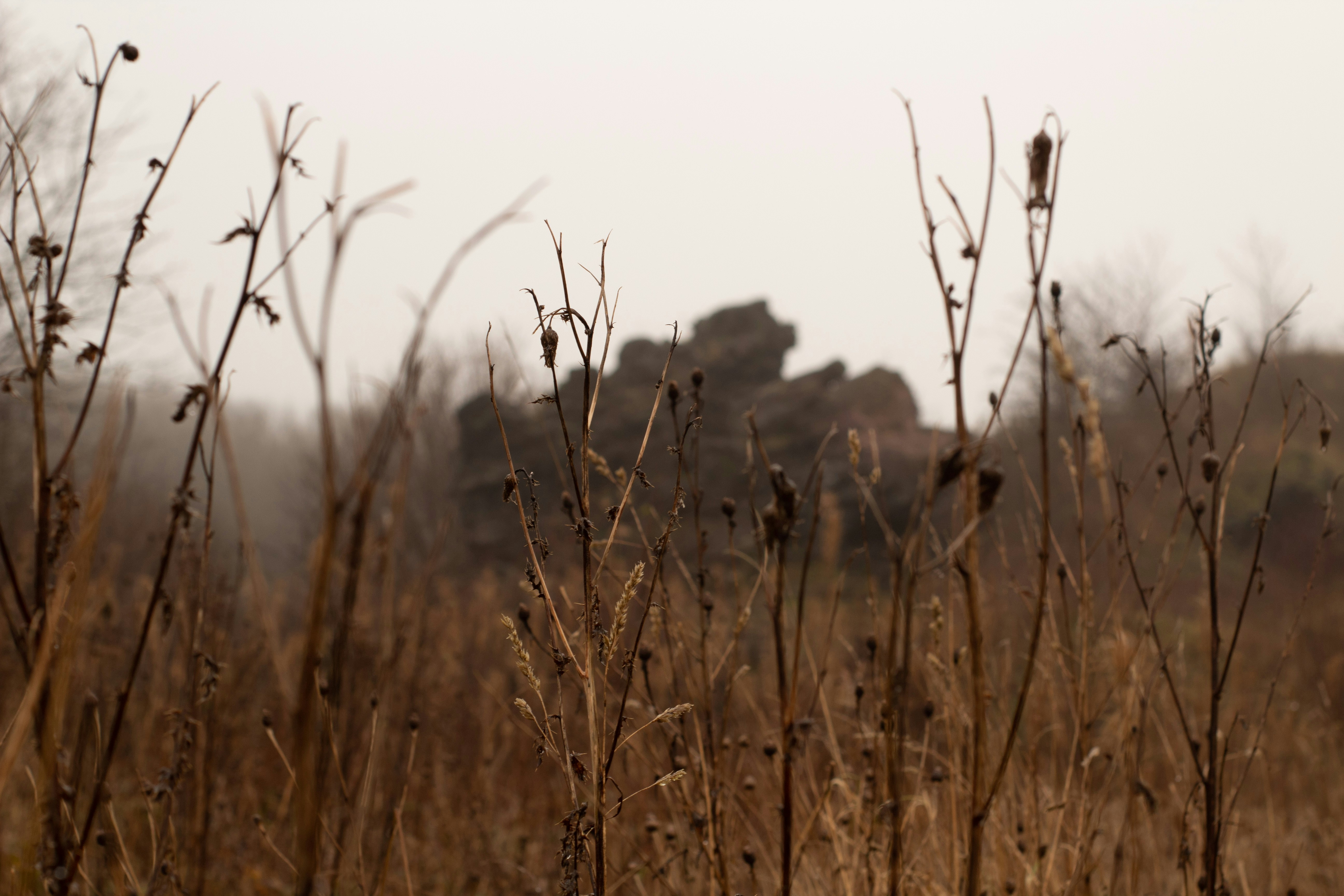 Photo by fern_and_fable