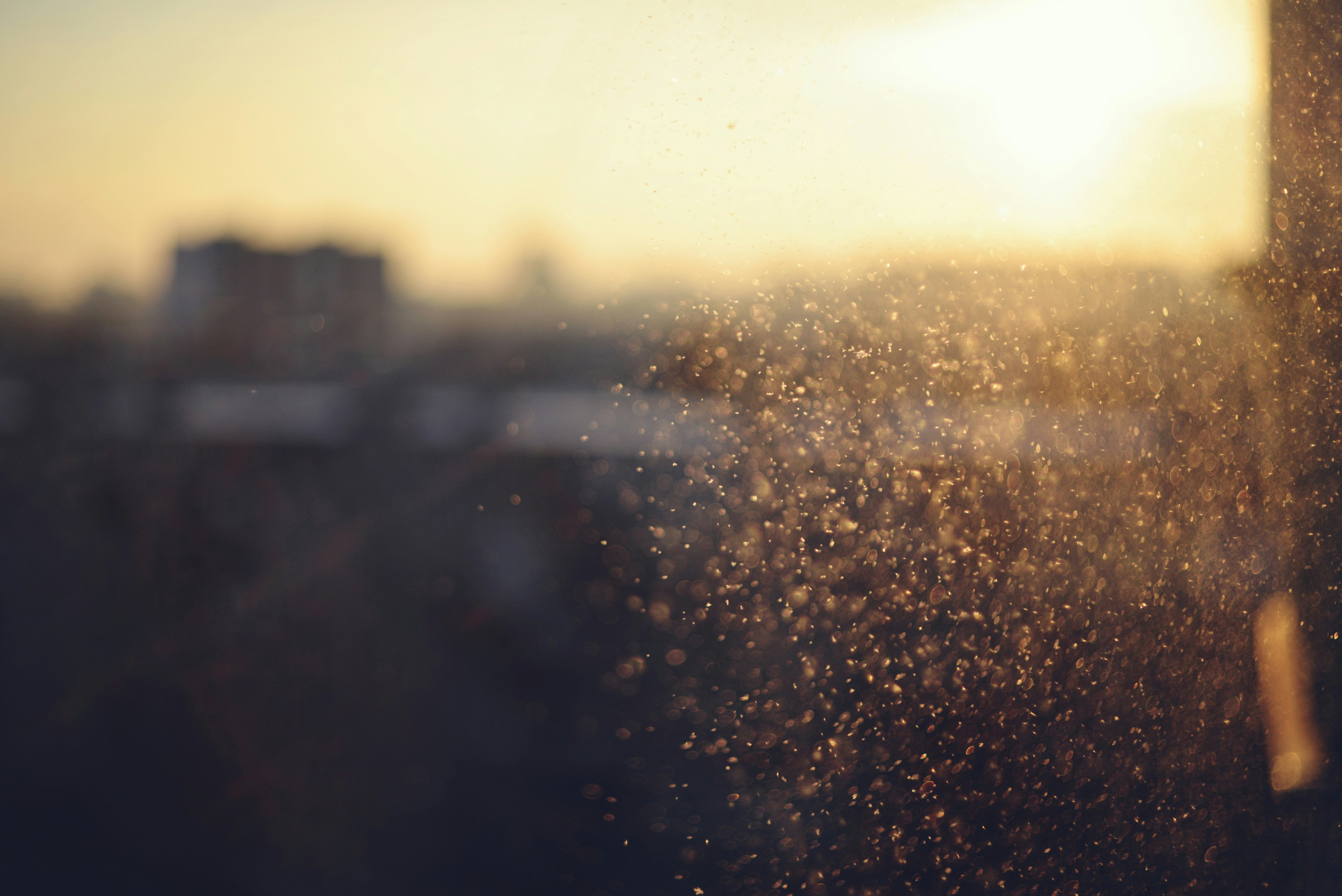 Photo by cherstve_pechivo