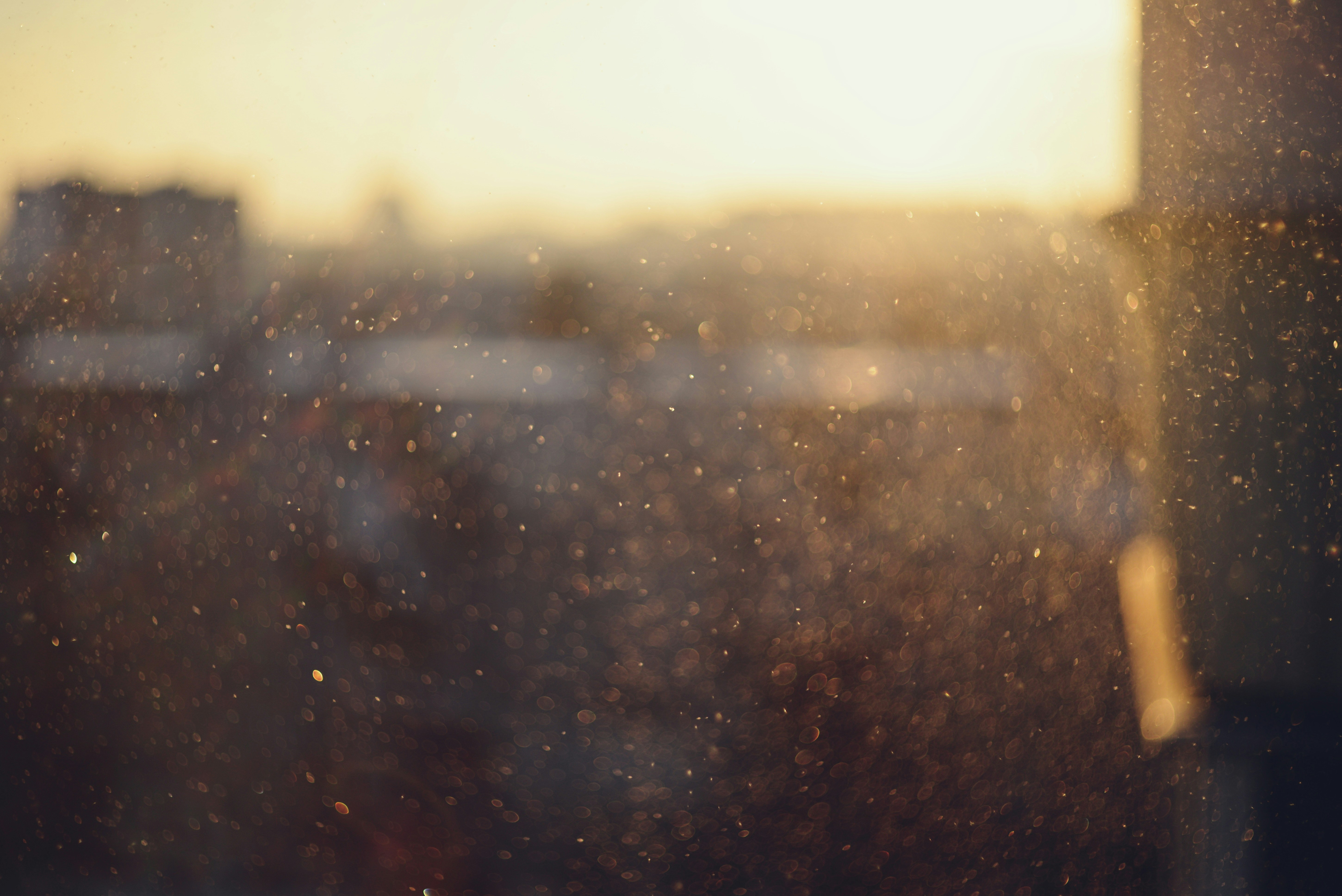 Photo by cherstve_pechivo