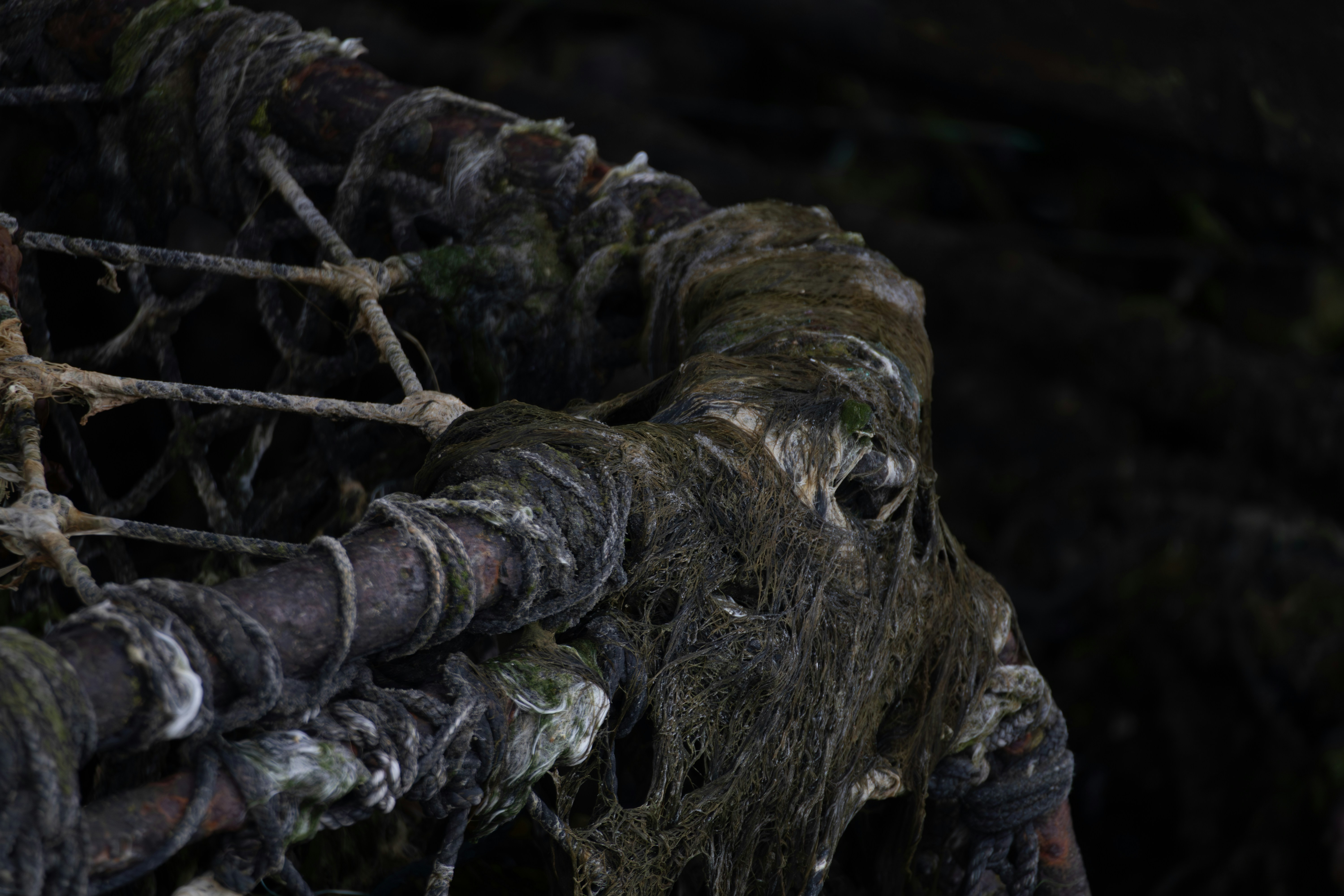 Close-up of rusty metal pipes covered in moss and debris.