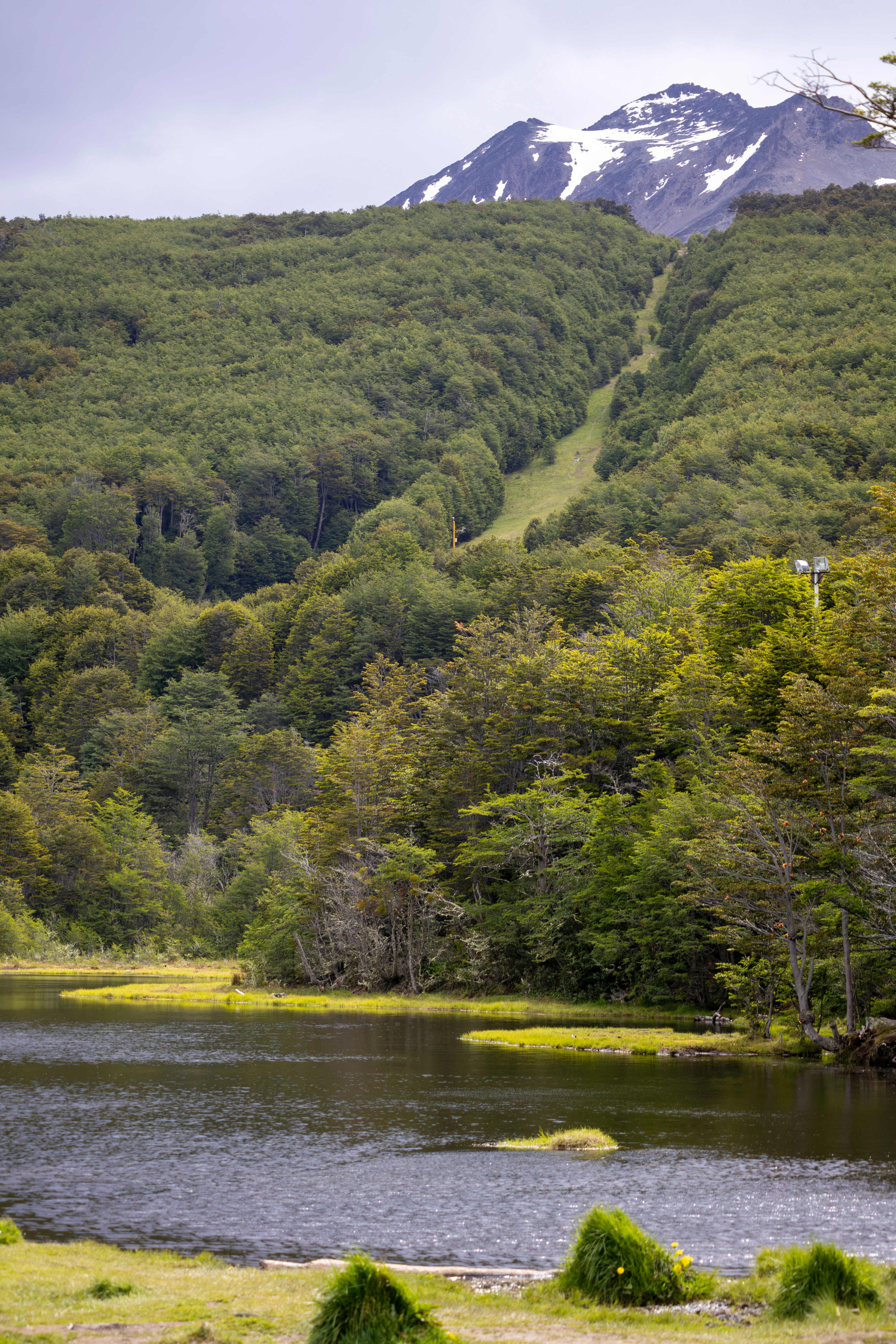 Laguna Del Diabo, Ushuaia, Tierra Del Fuego, Patagonia Argentina, Fin del Mundo - Lush green forest slopes lead to a snow-capped mountain