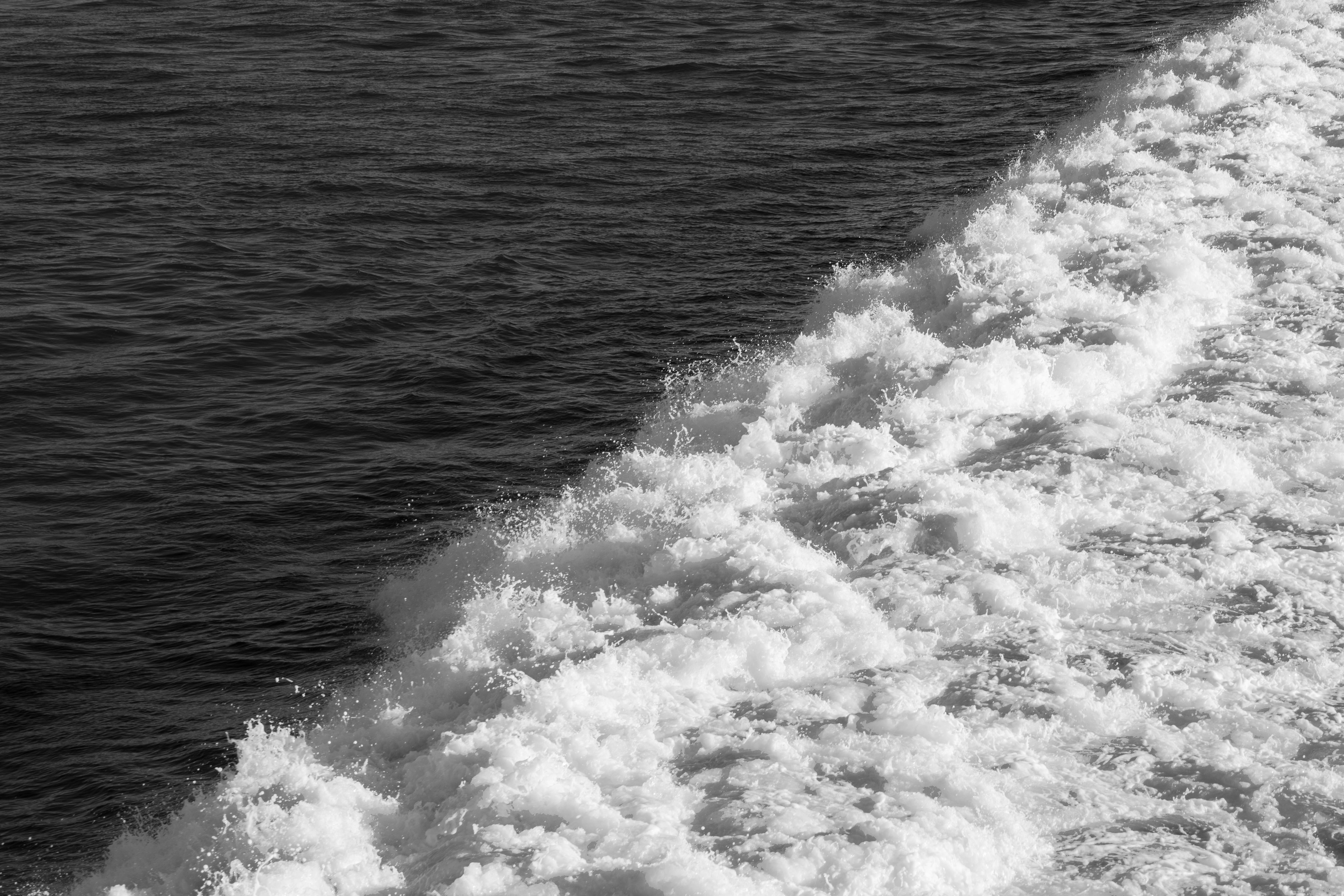 Photo by cameronmaines