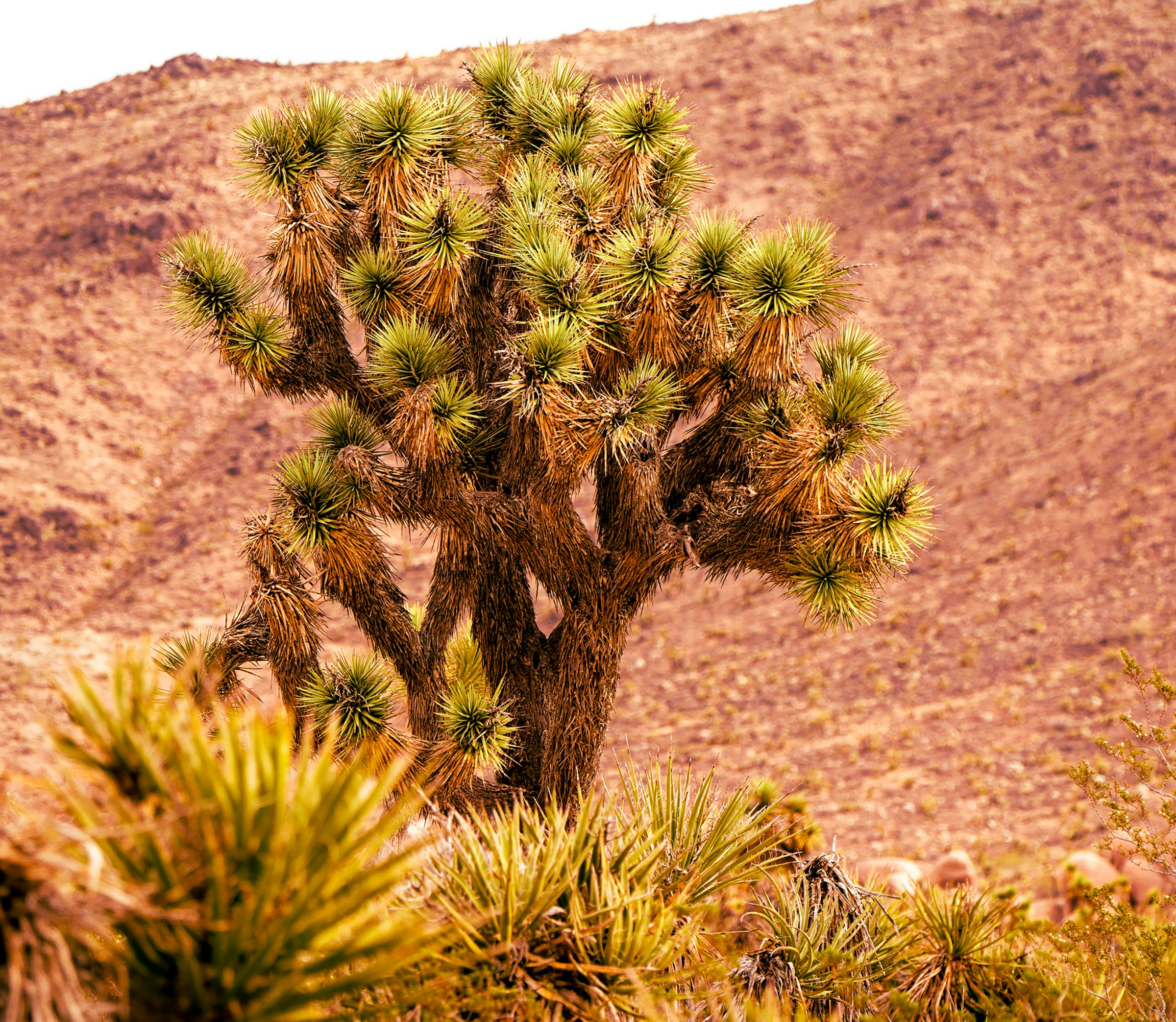 Photo by judydoherty