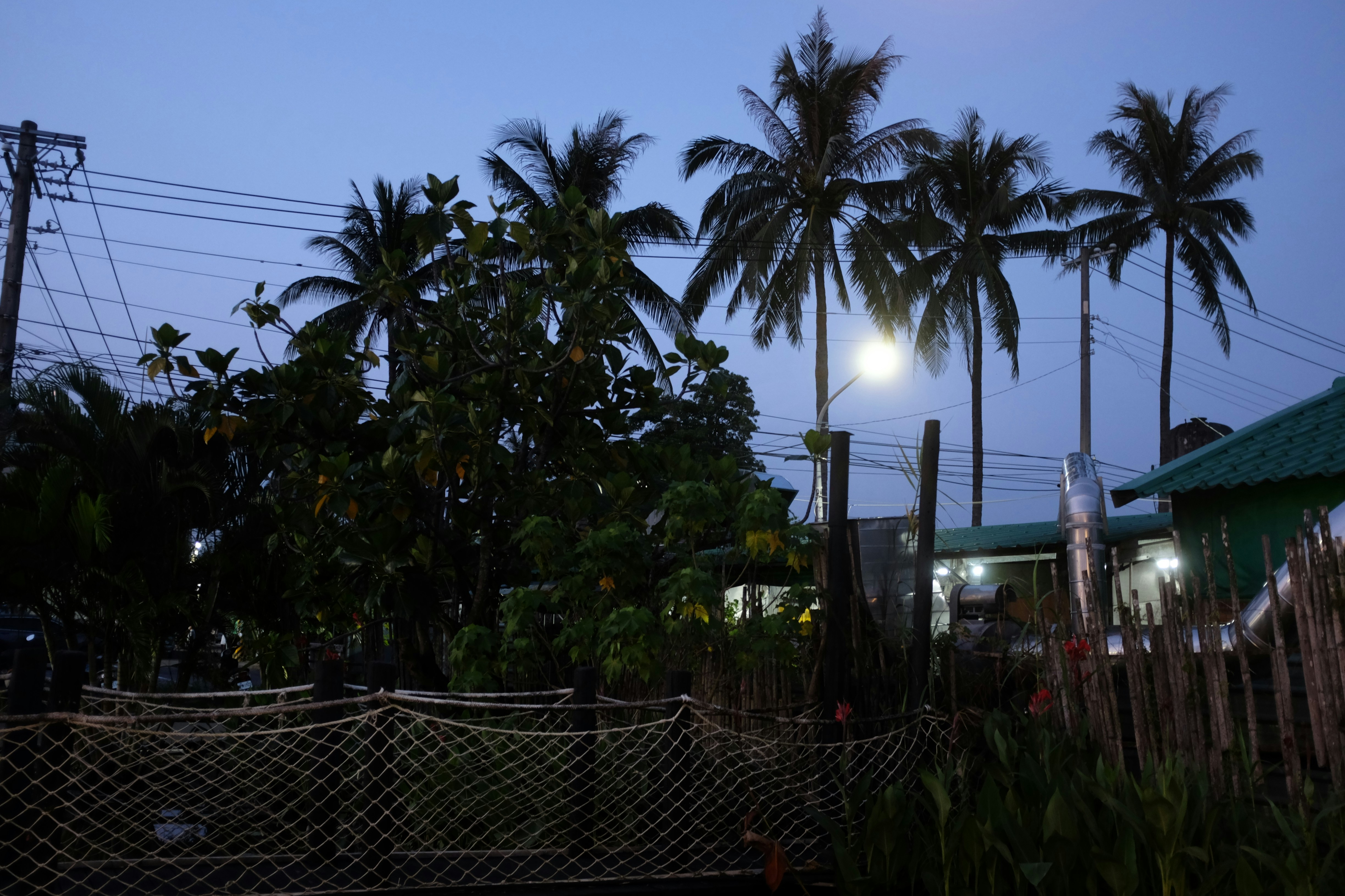 Full Moon Party Survival Guide for Koh Phangan and Best Beachfront Stays
