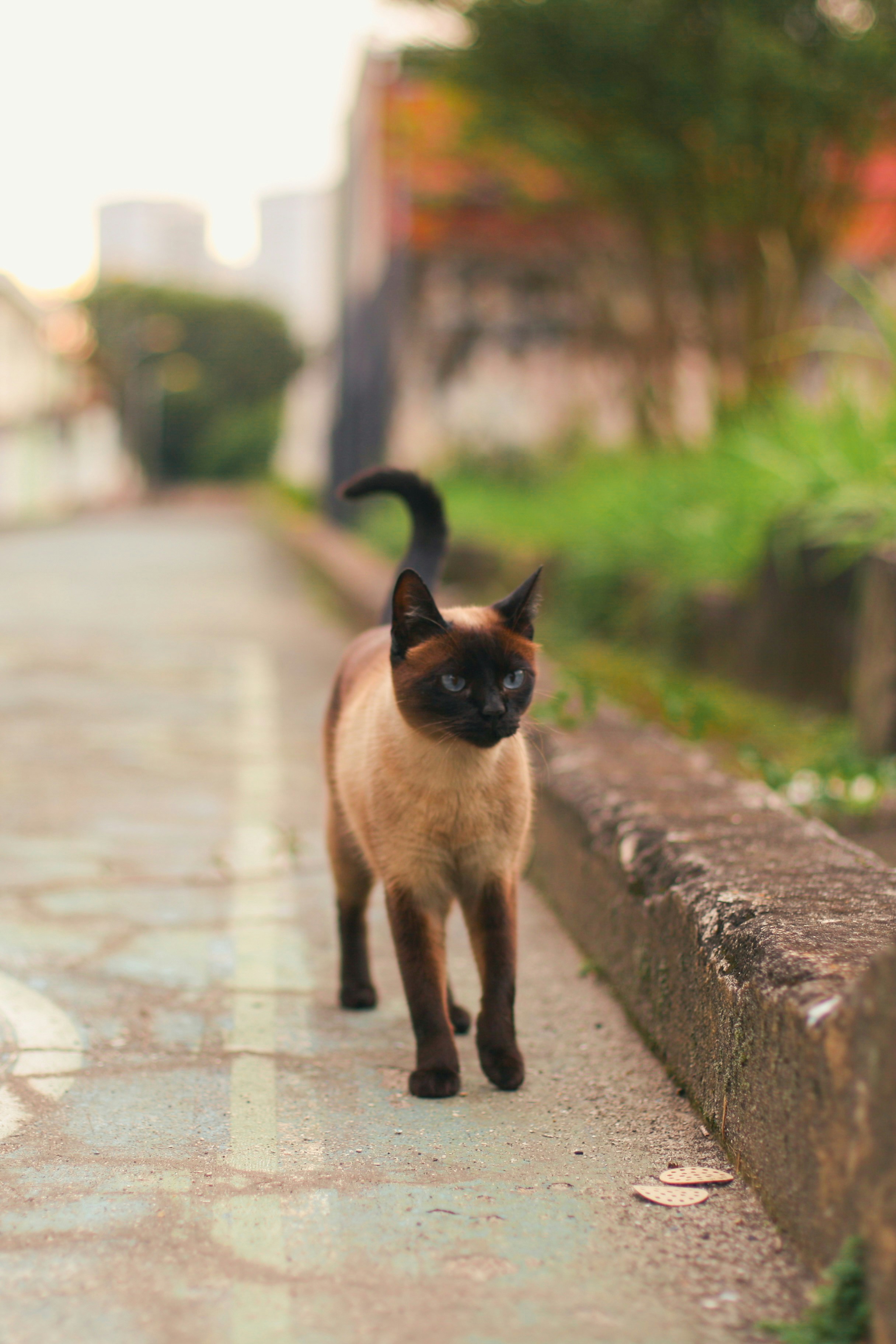 Photo by silvana_carlos