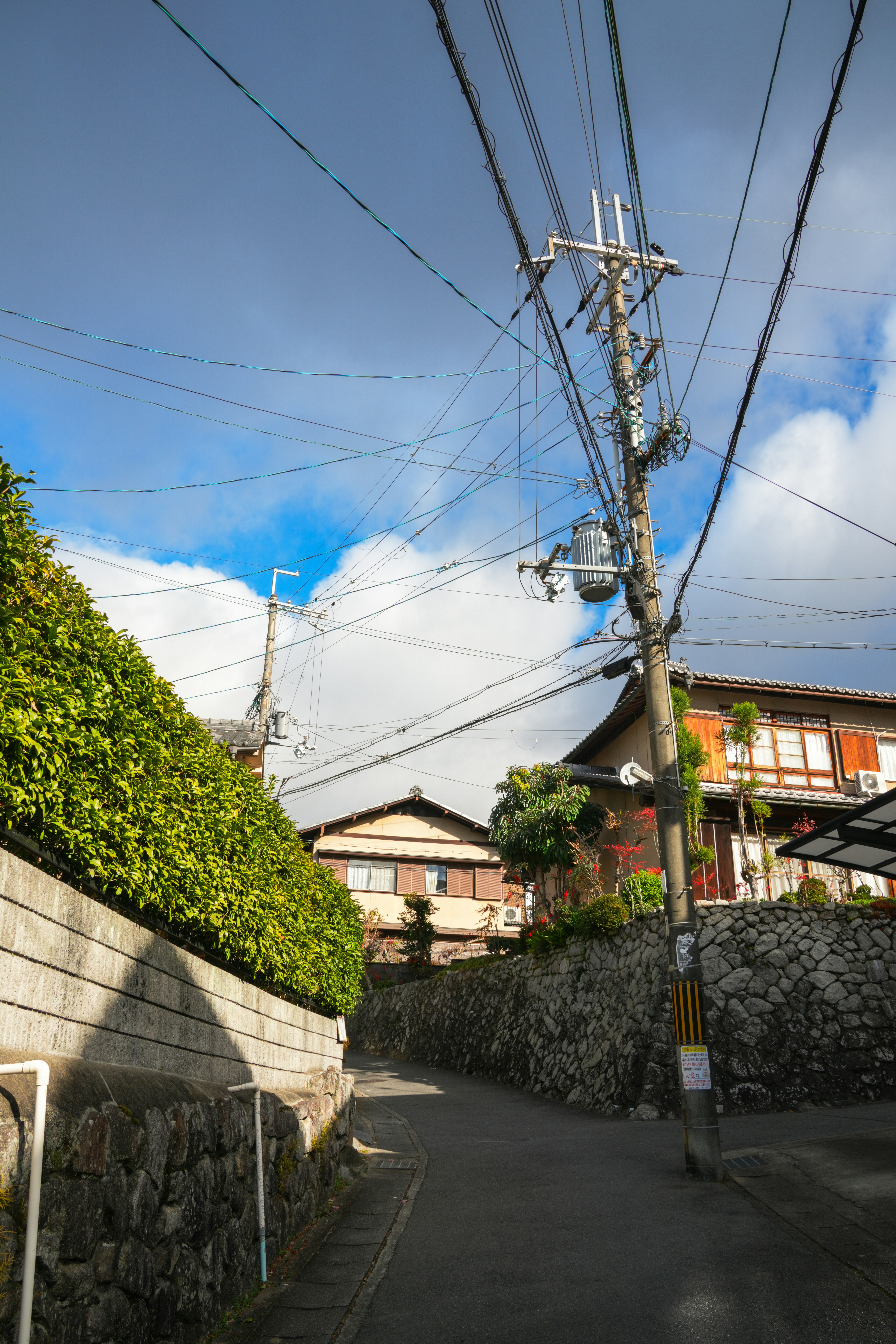 Photo by hattrick1996