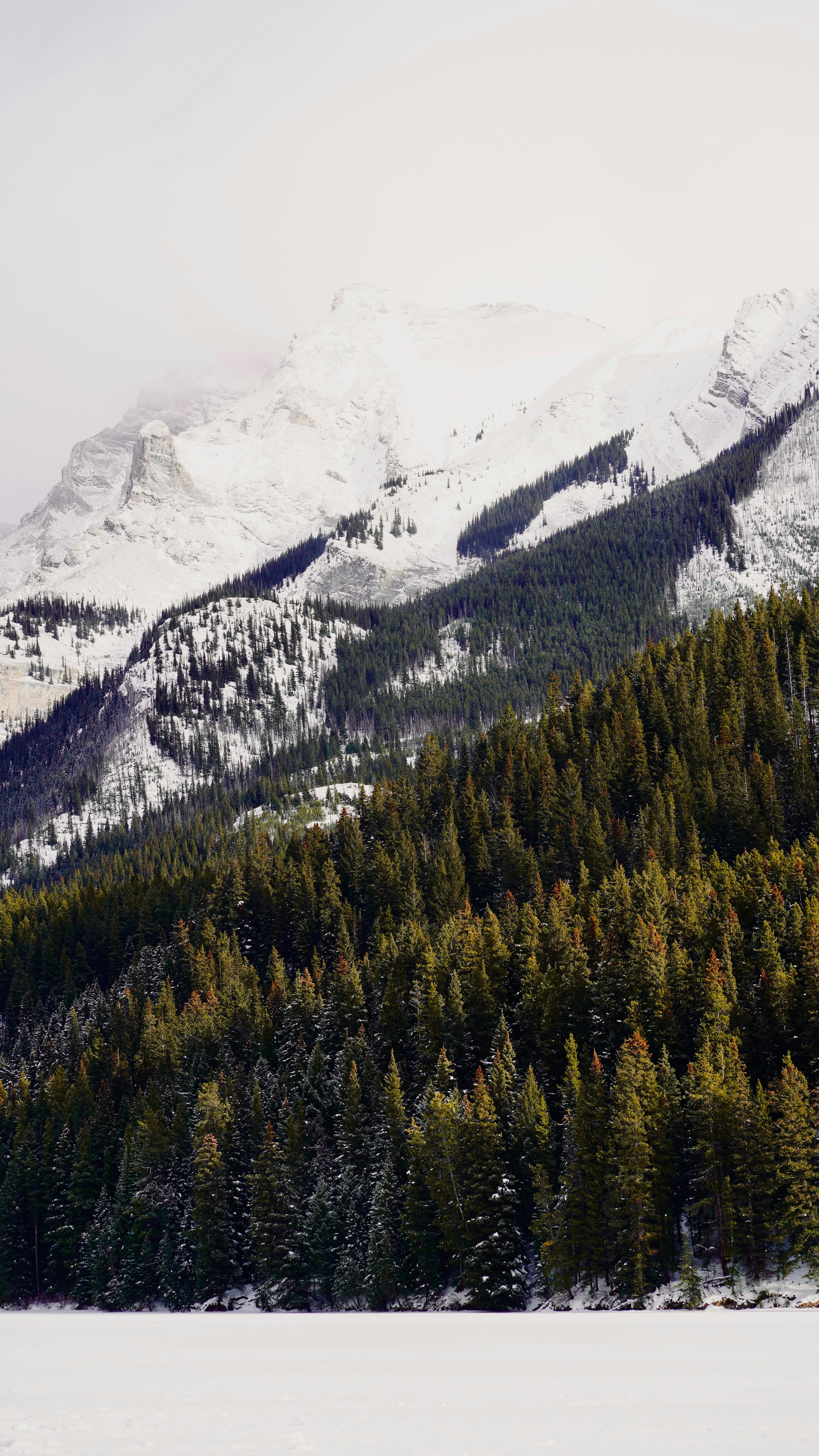 Photo by sangam_sharma