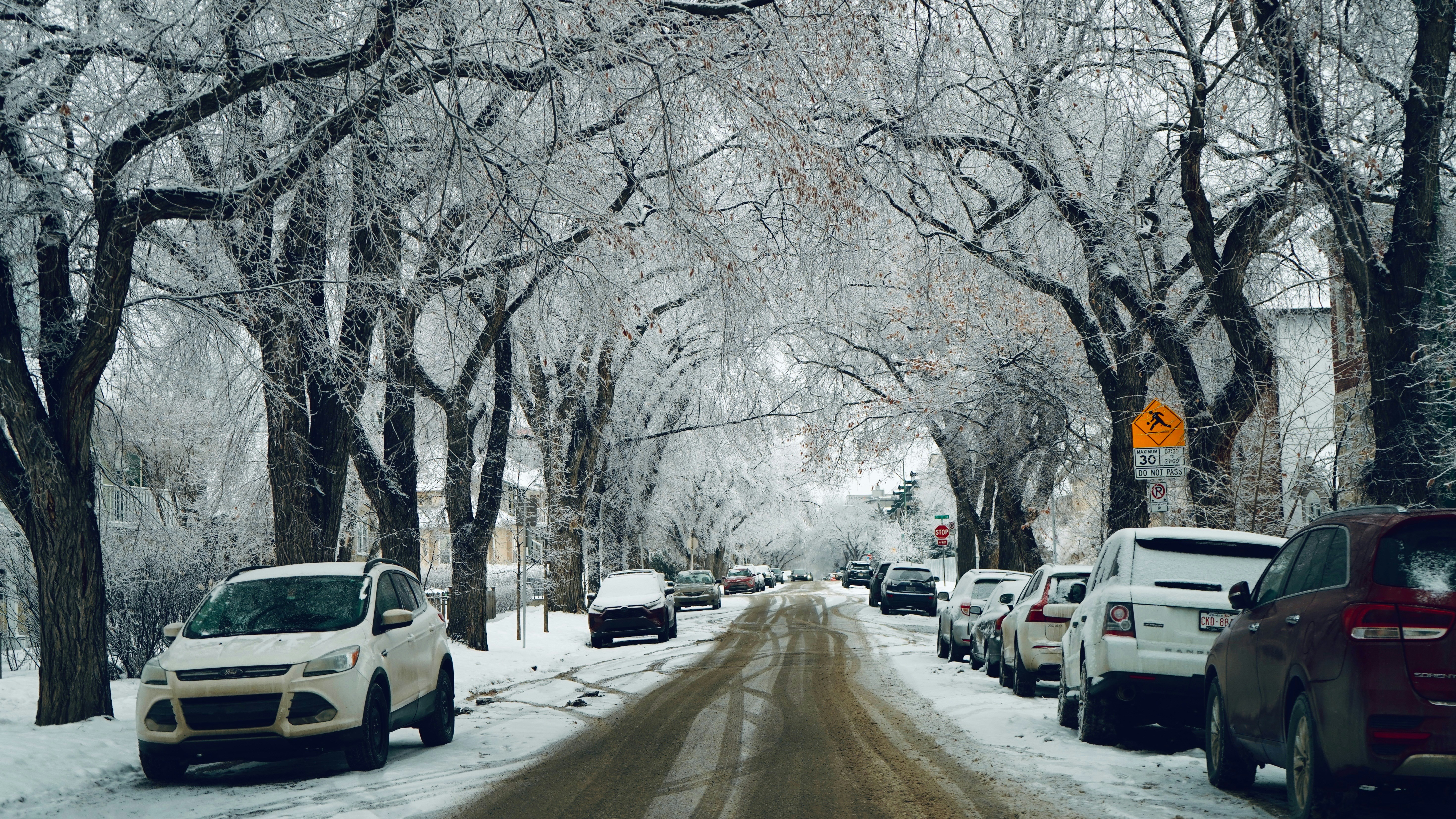 Schneebedeckte Bäume säumen eine Straße mit geparkten Autos.