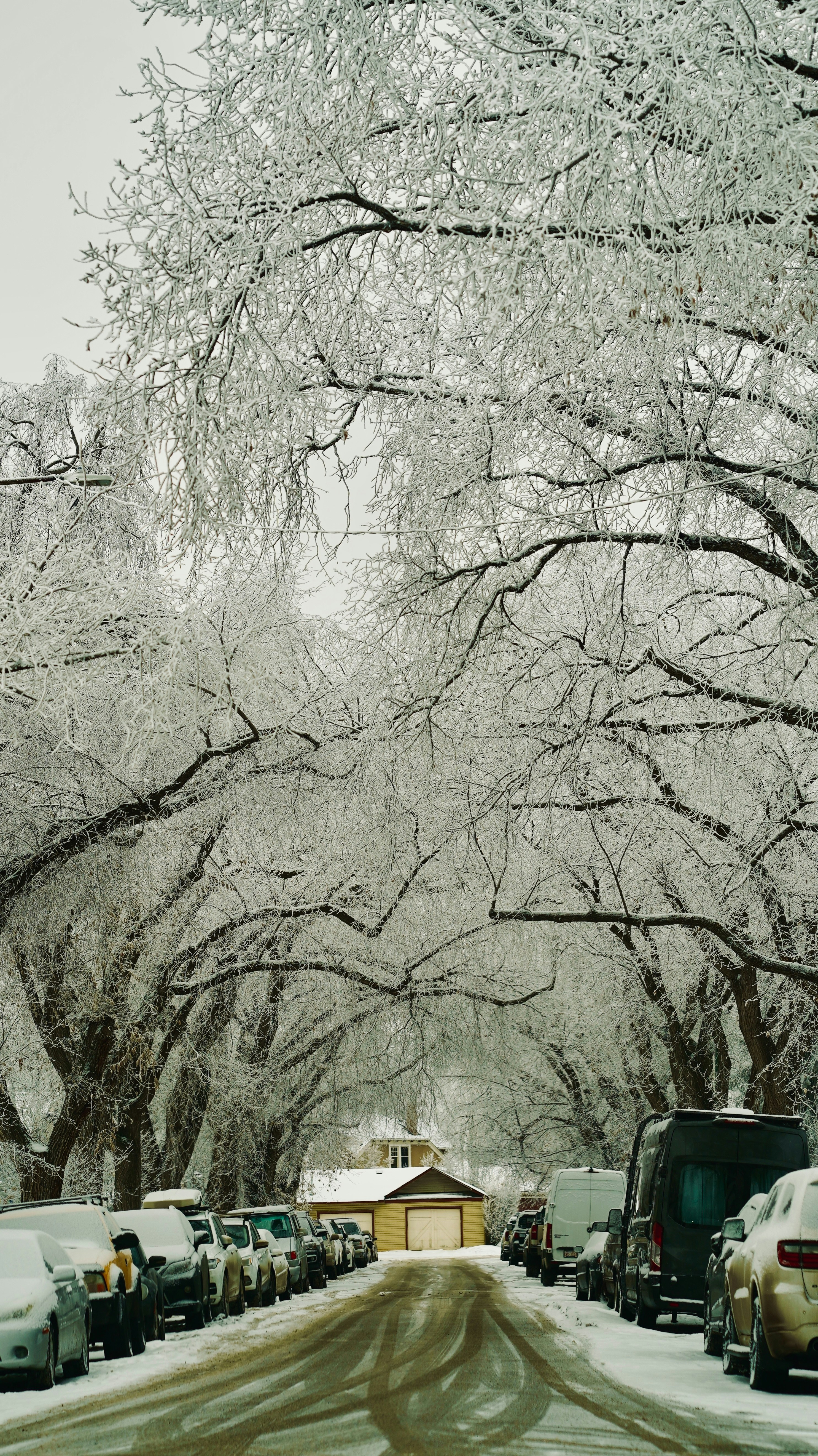 Photo by sangam_sharma