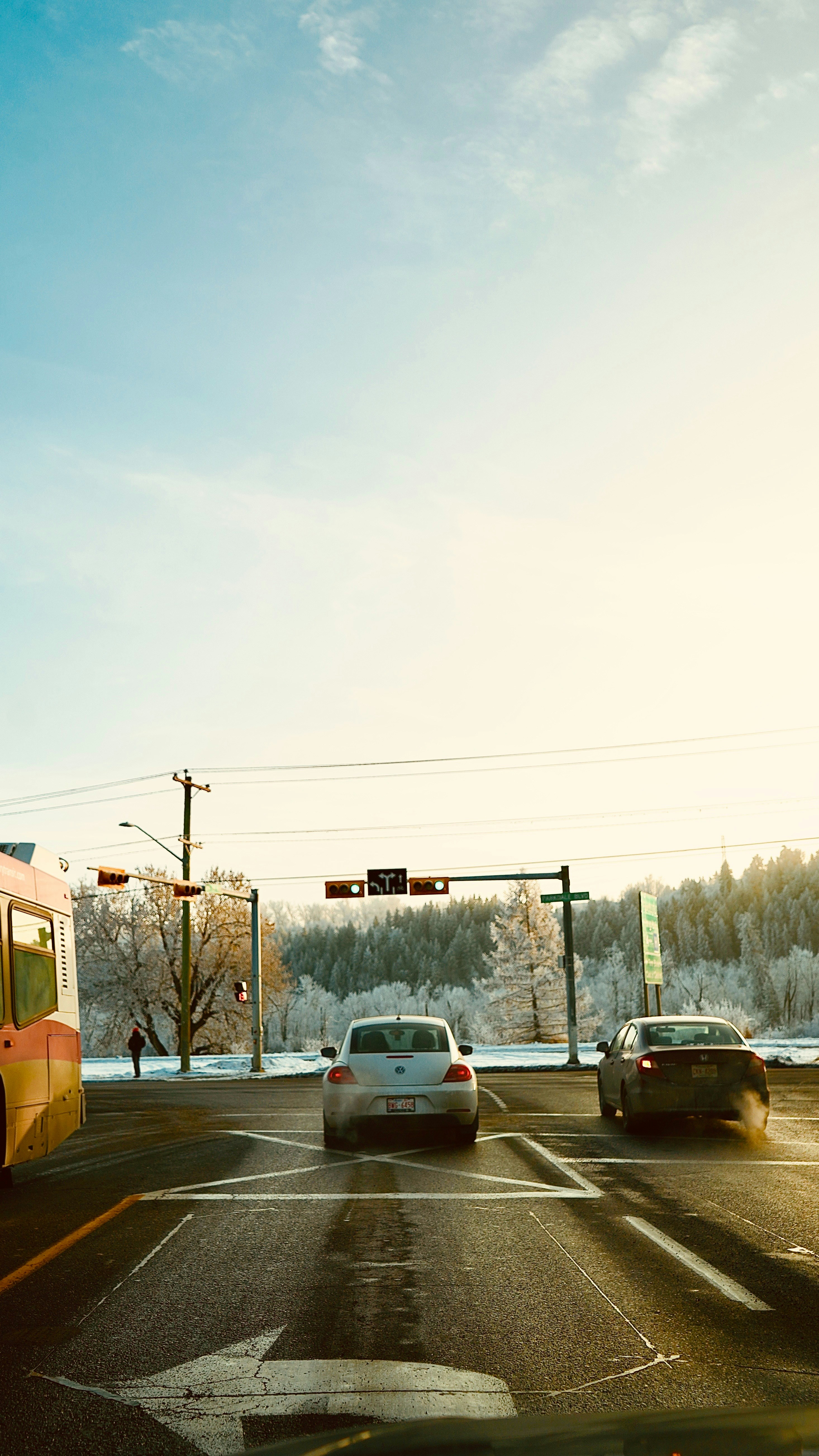 Autos an einer Ampel an einem Wintertag.
