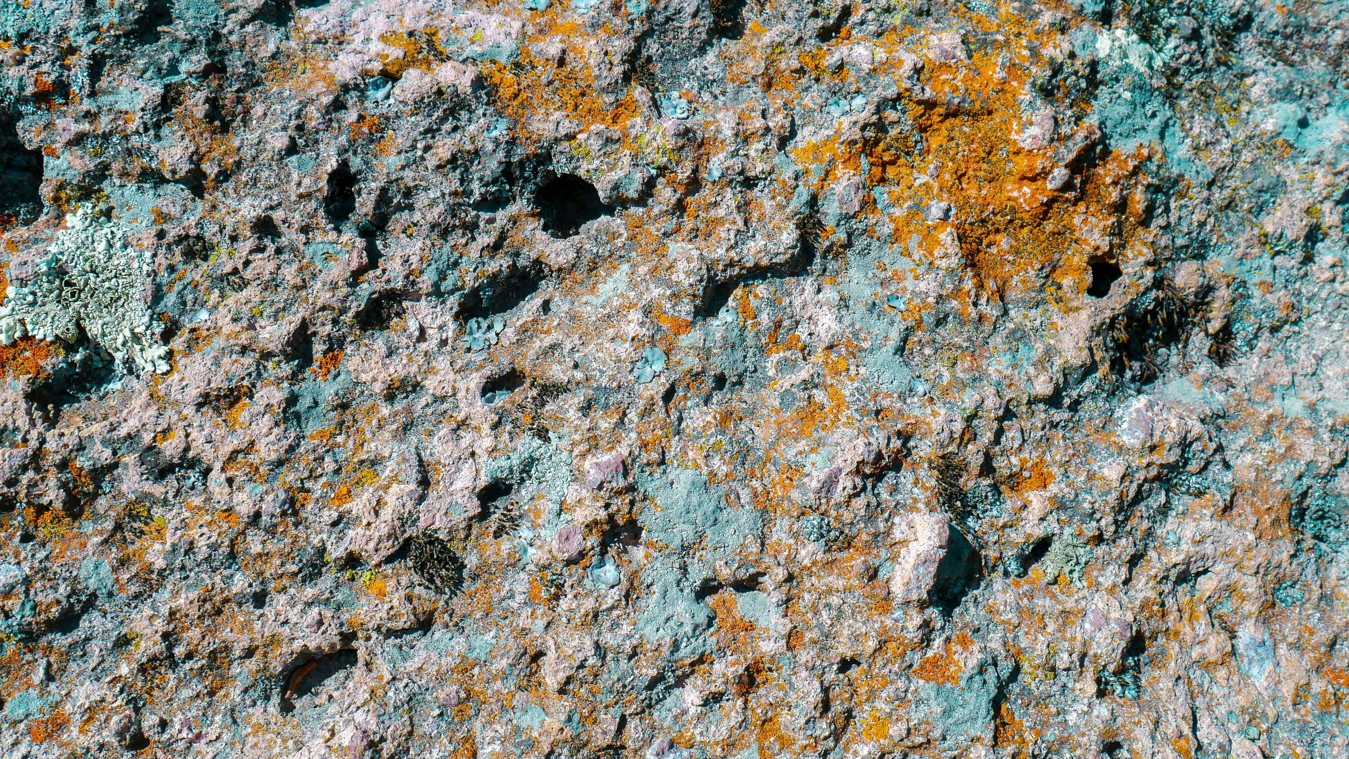 zinc mineral wallpaper, wallpaper, Zinc Sulfate Monohidrat: Manfaat, Dosis, dan Efek Samping 6