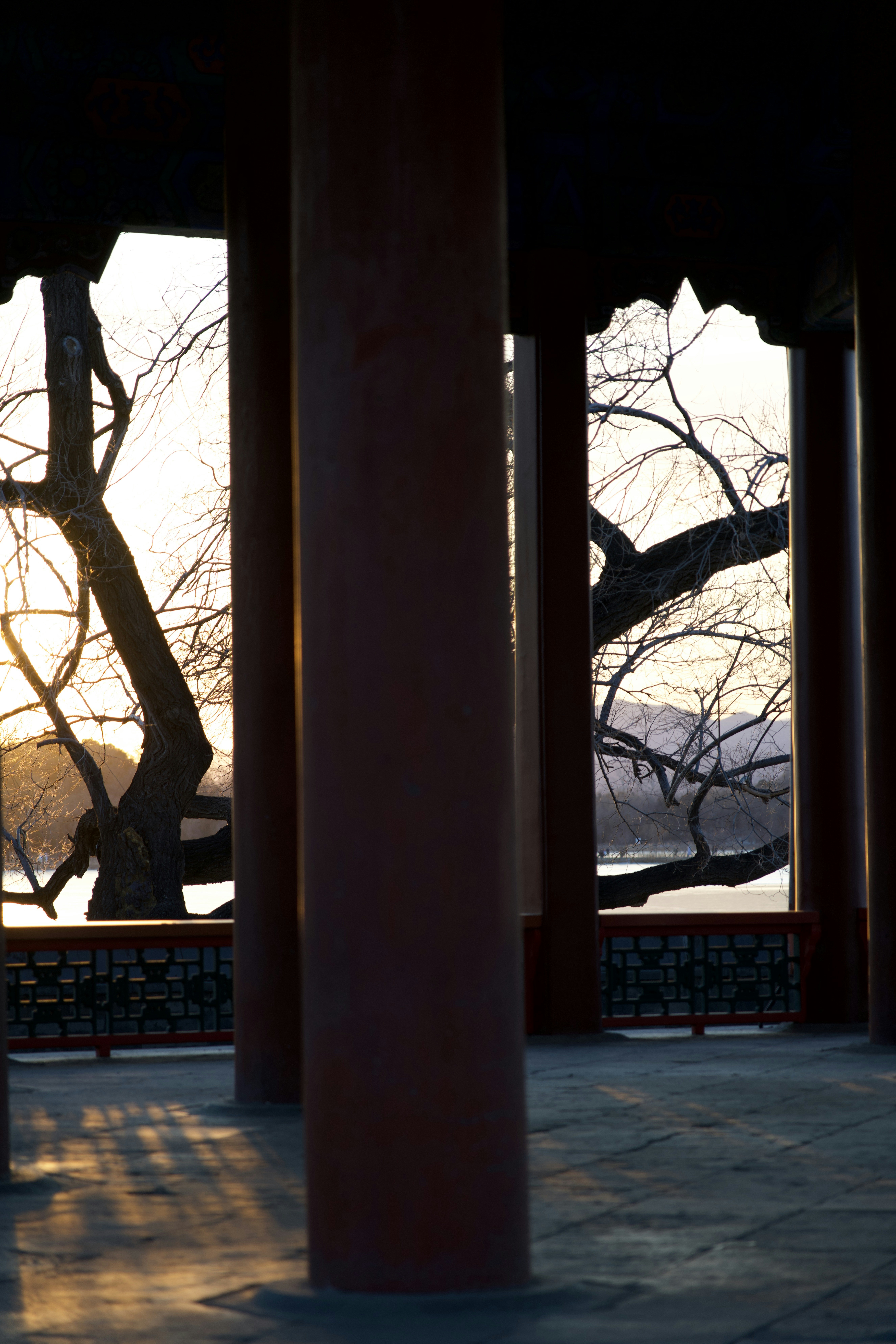 Photo by ncj51518