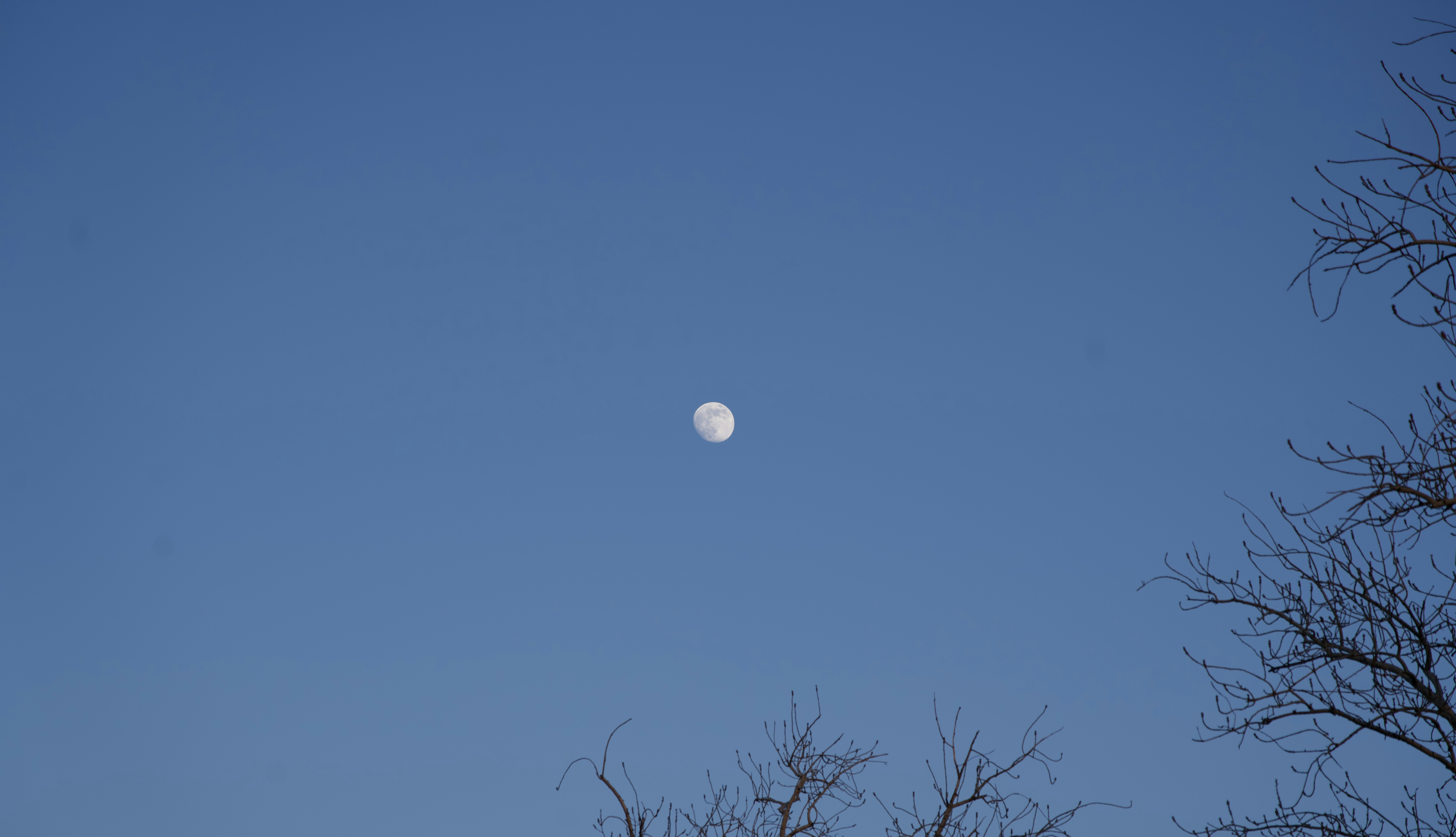 The moon is visible in the clear blue sky.