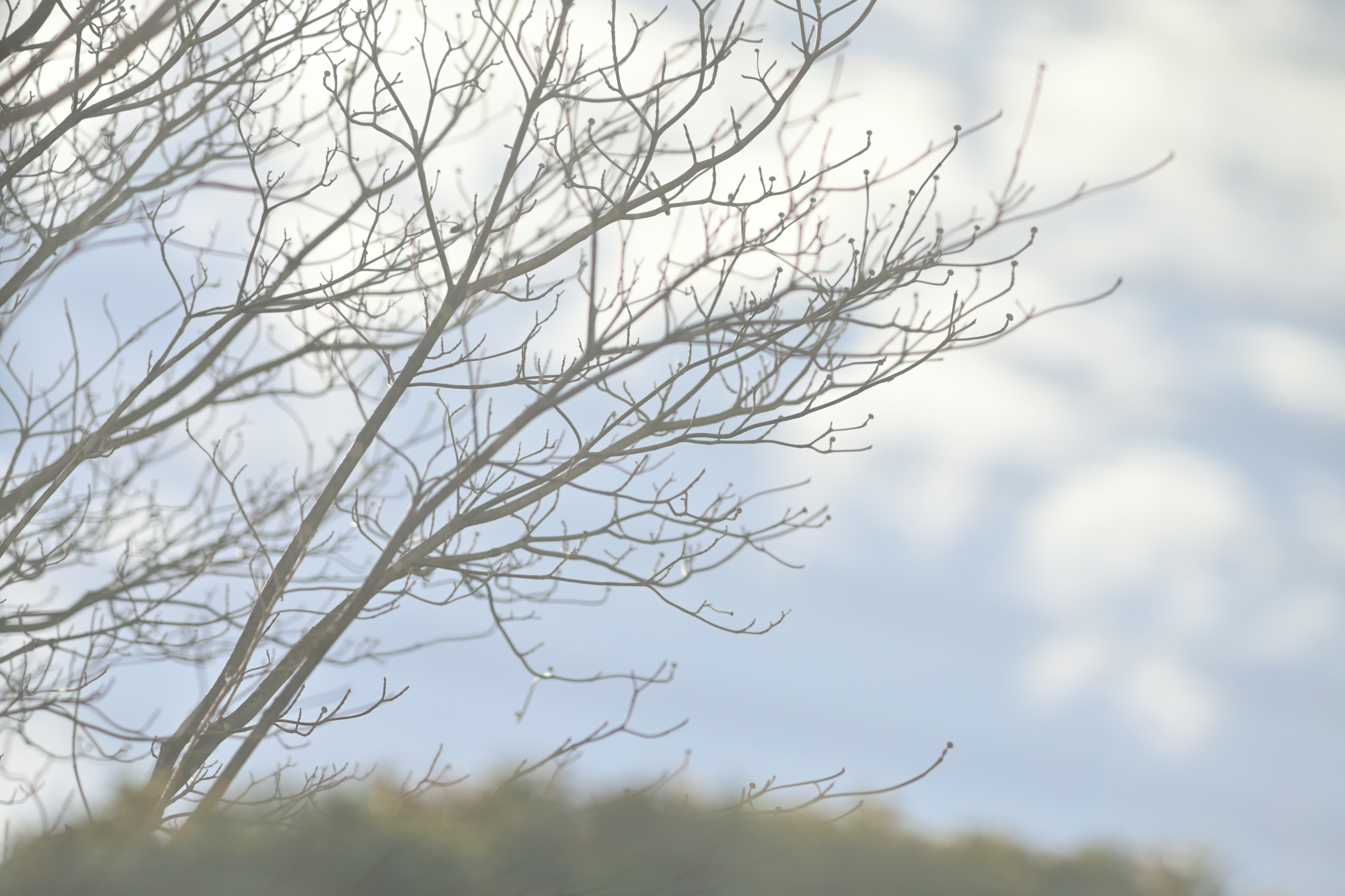 Photo by tomokiozawa