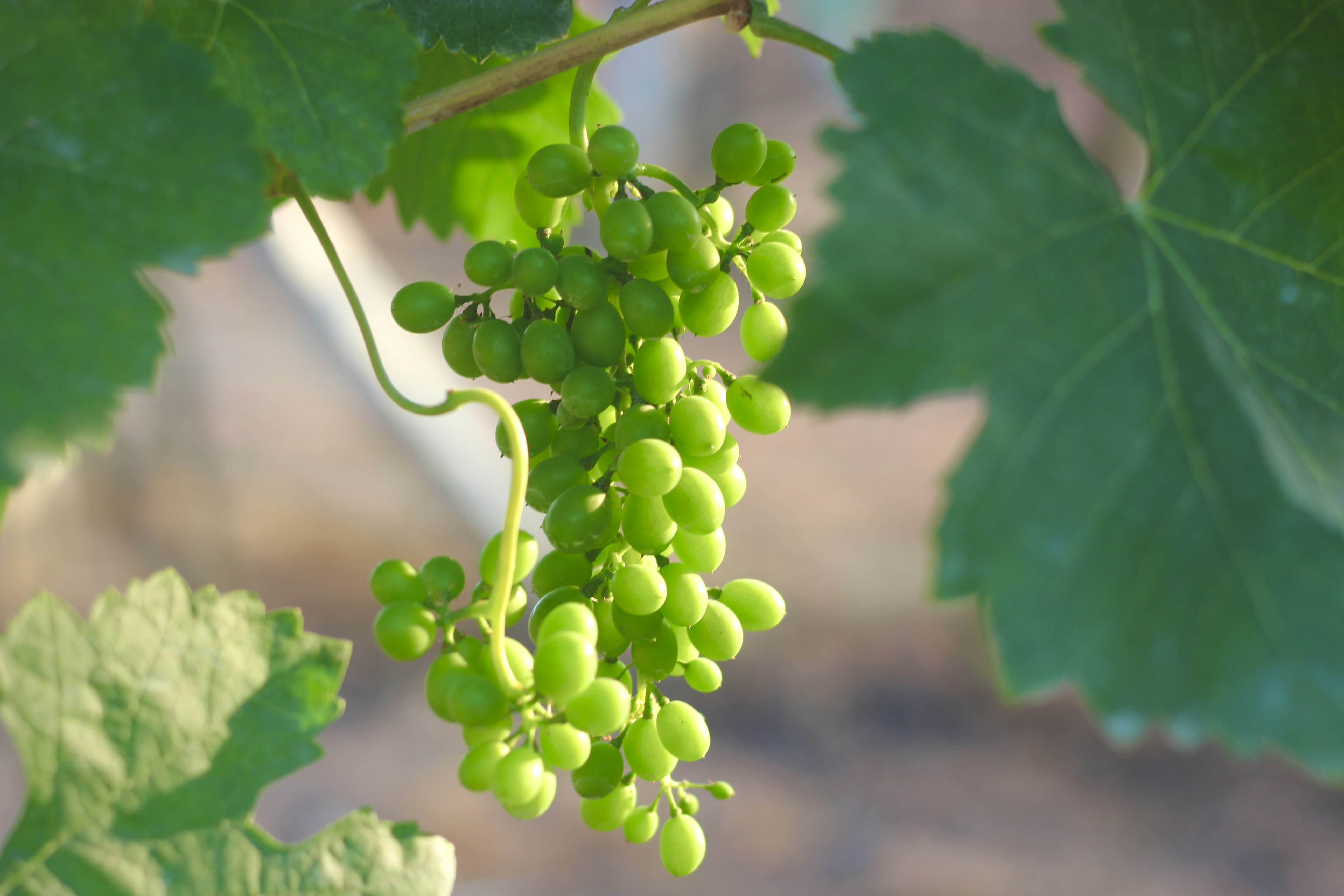 Photo by peggie_mishra