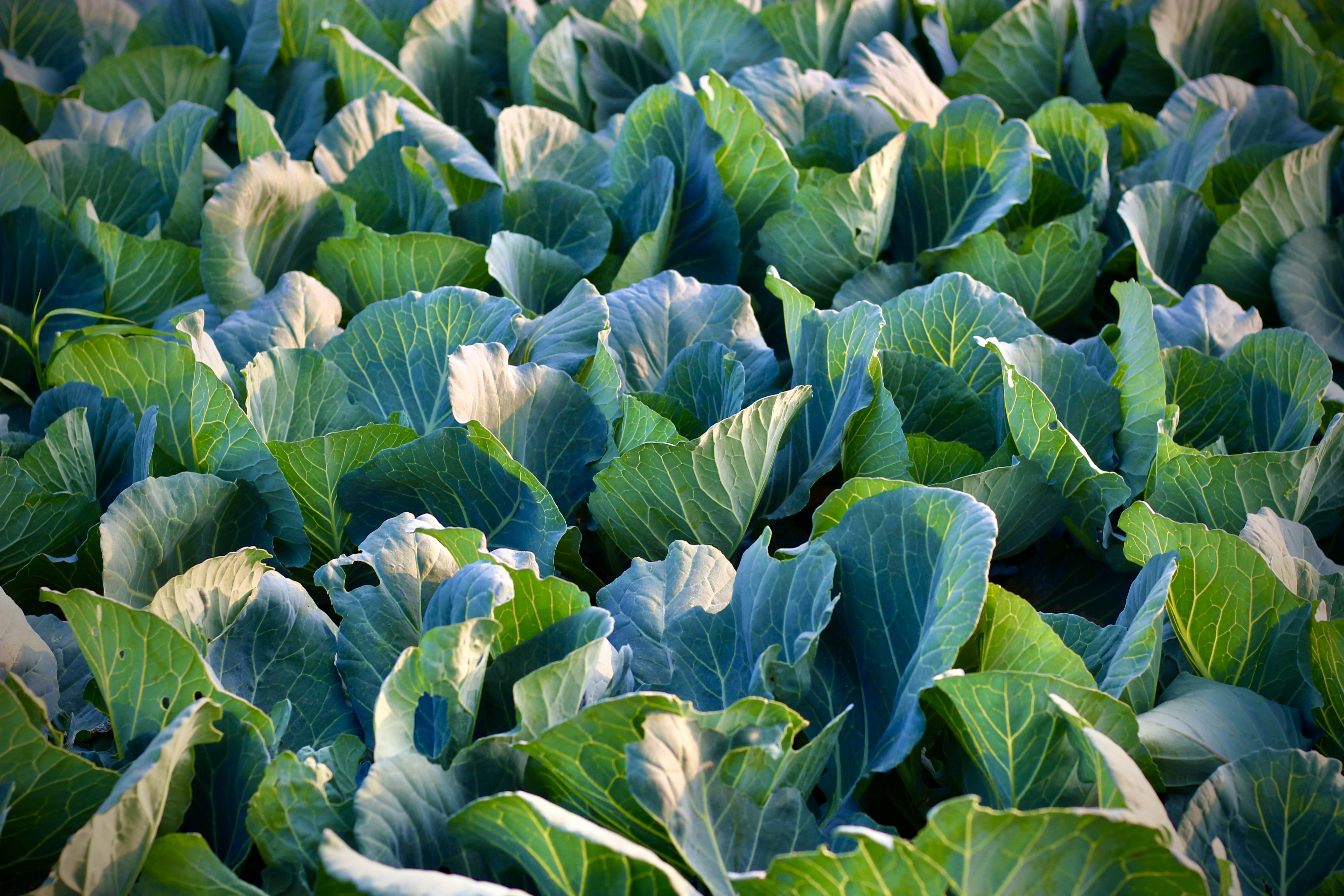 Photo by peggie_mishra