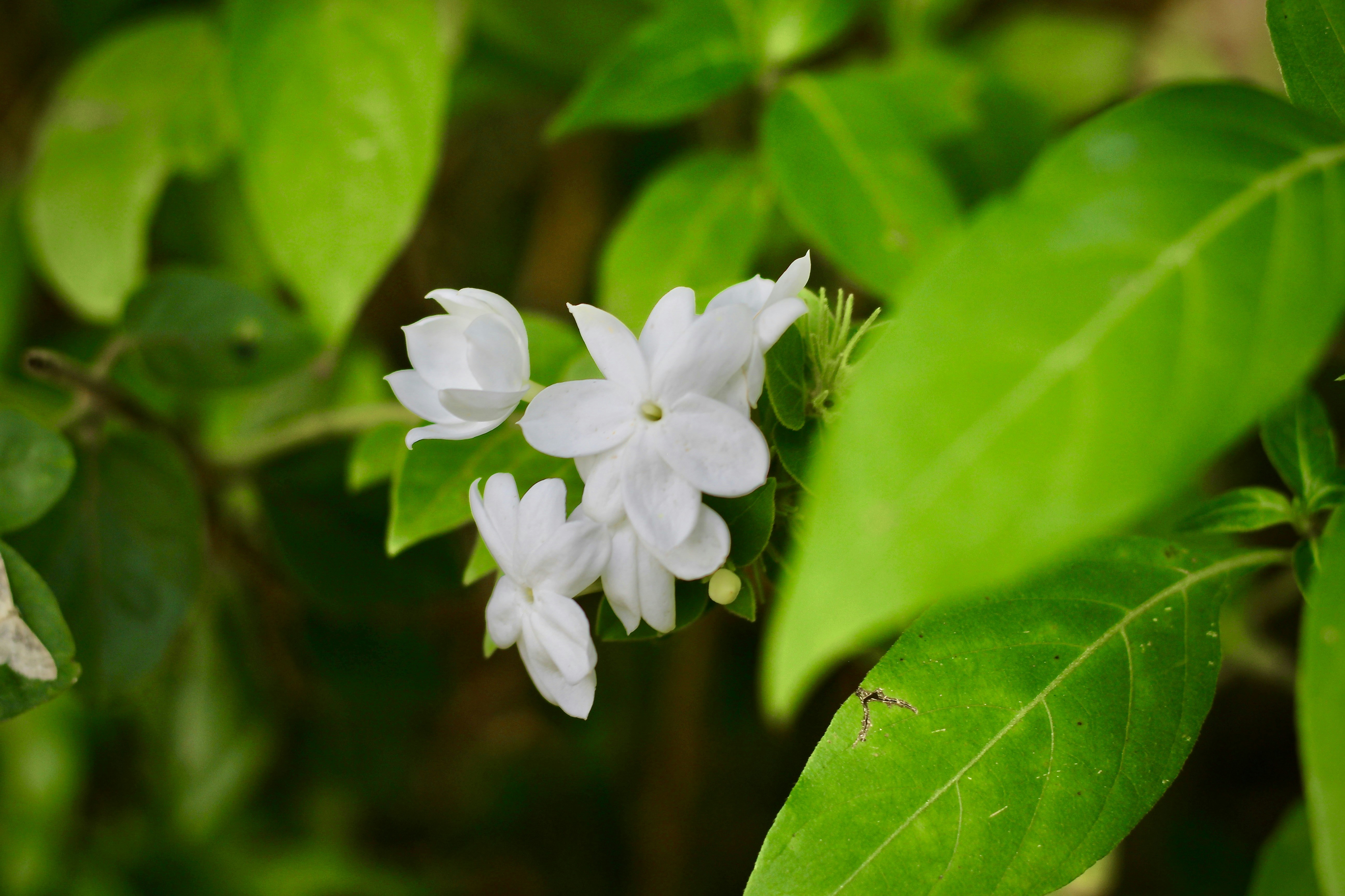 Photo by peggie_mishra