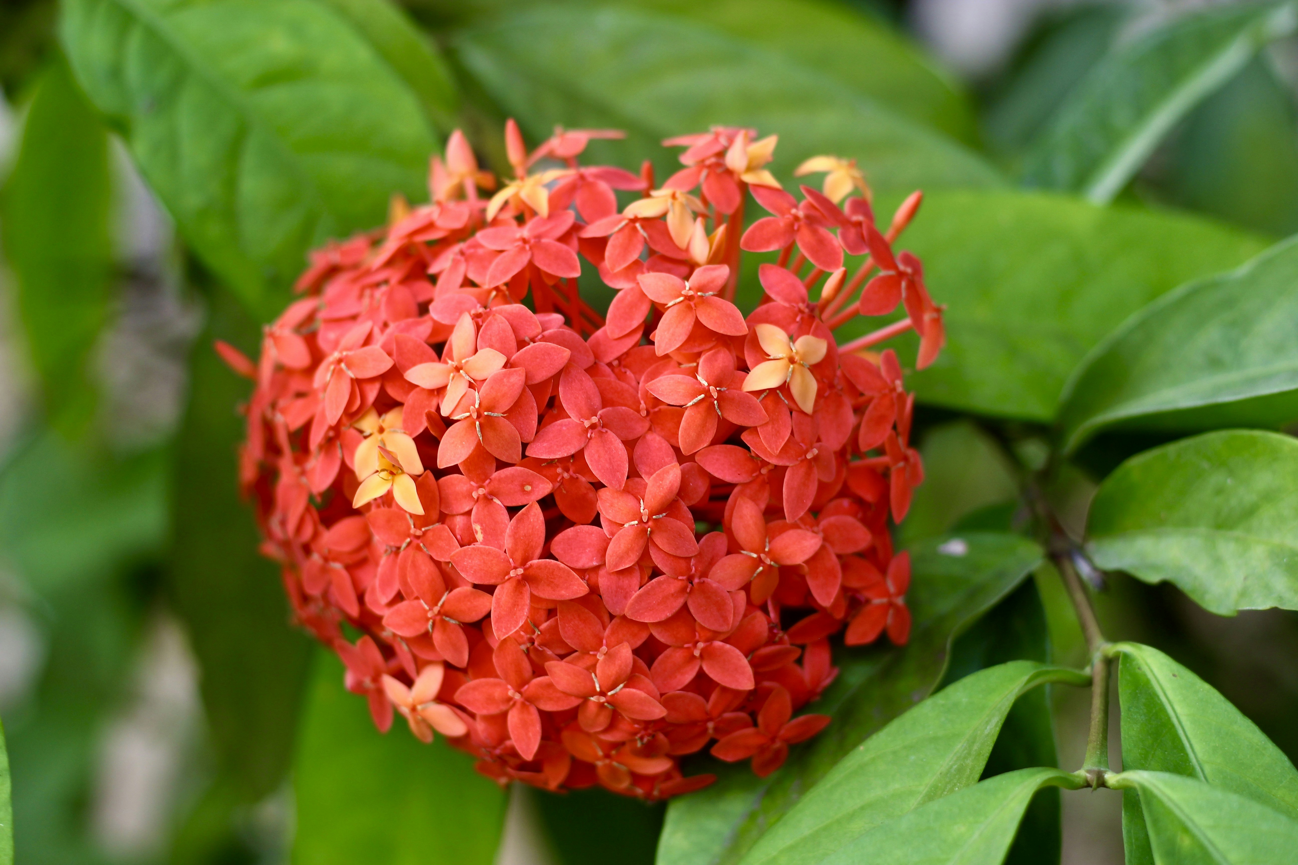 Photo by peggie_mishra