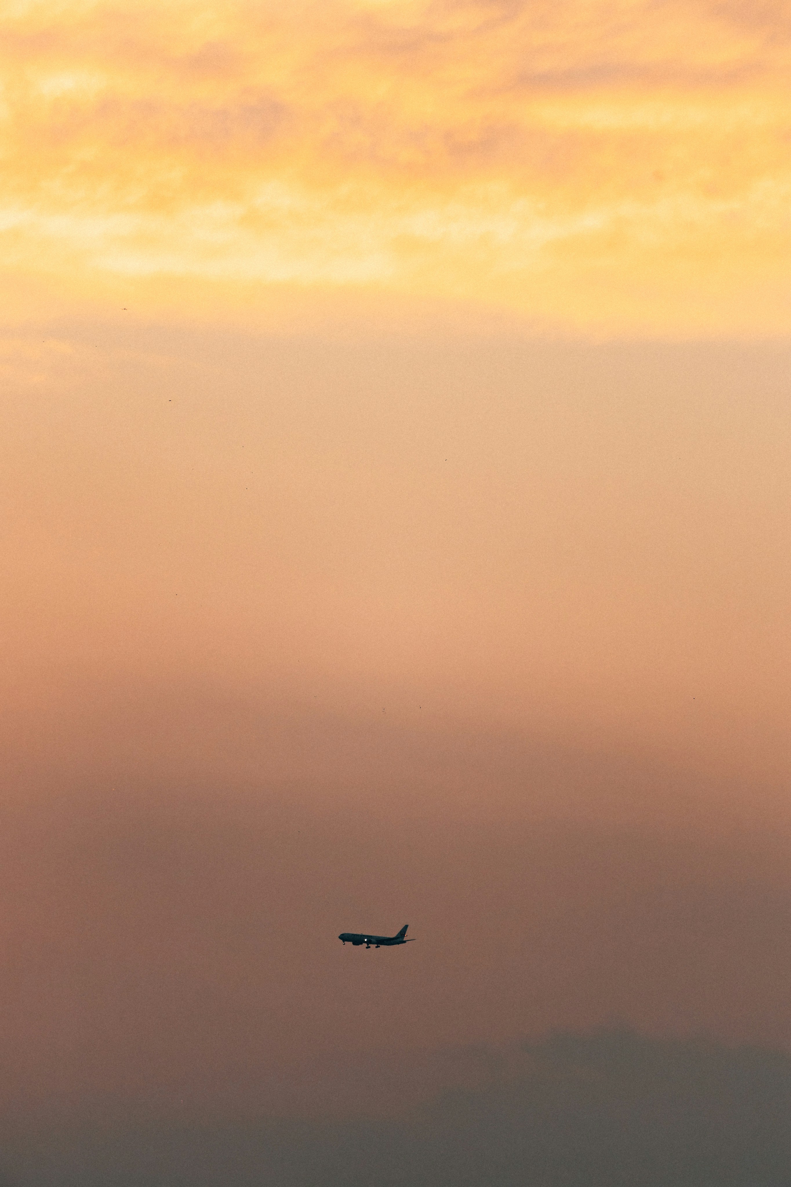 Photo by tsuyoshikozu