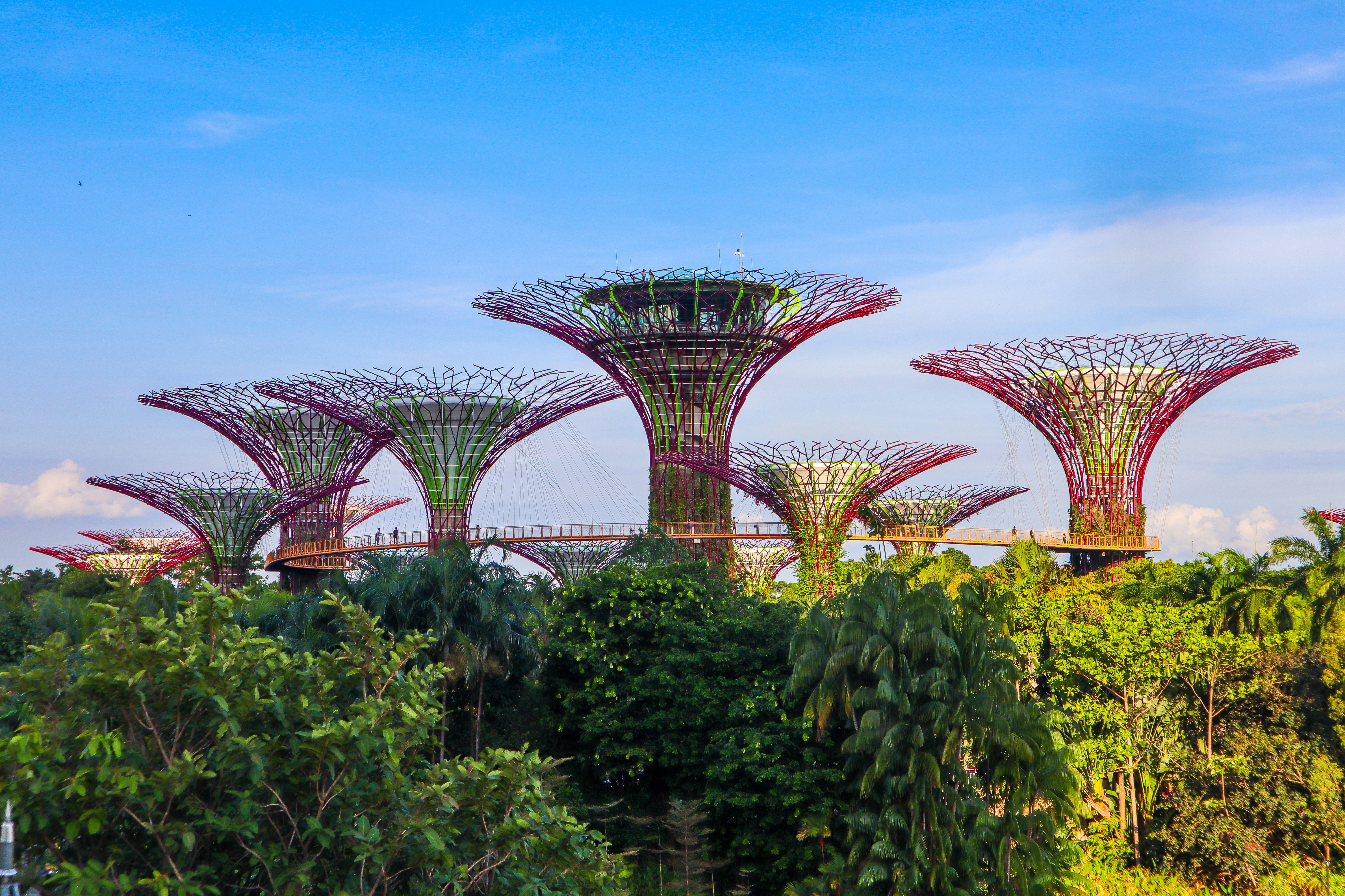 Futuristic supertree grove at gardens by the bay, singapore