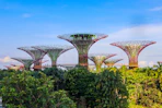Futuristic supertree grove at gardens by the bay, singapore
