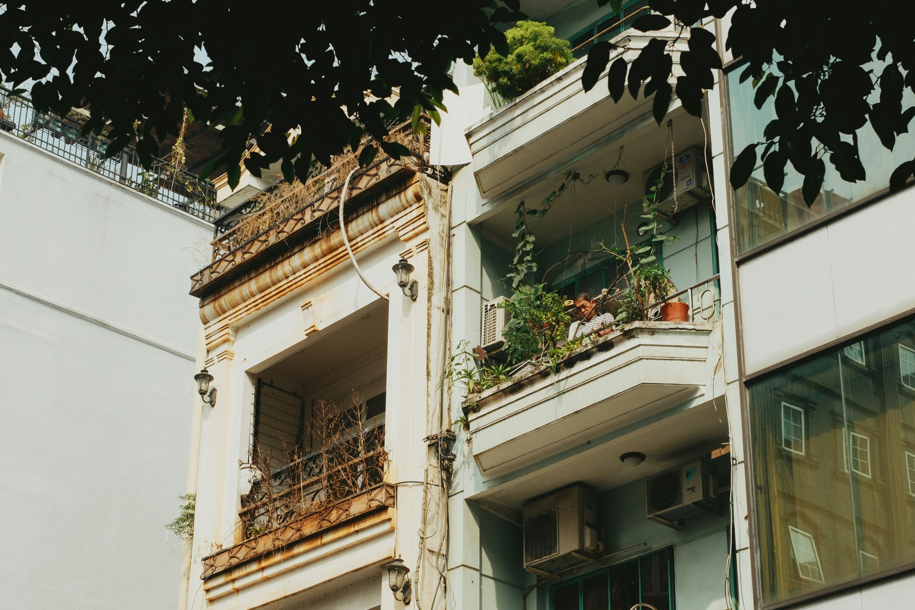 Buildings with balconies and plants in need of repair.