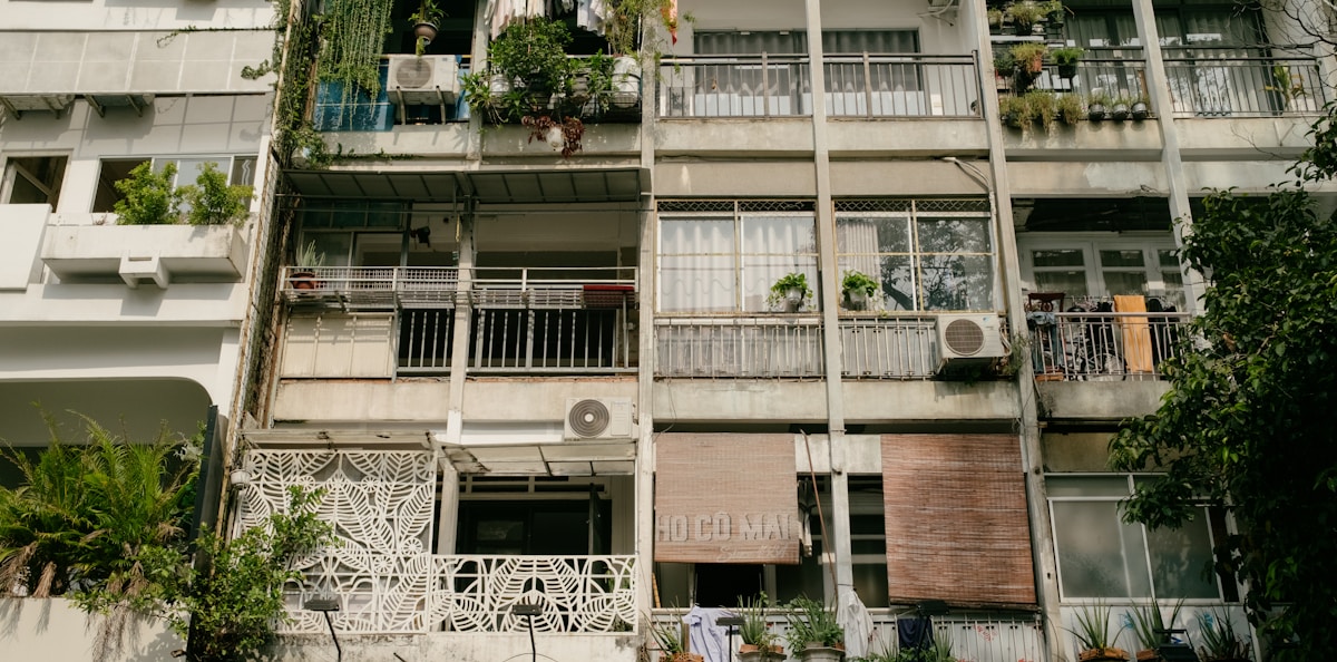 Small fruit trees for balconies: practical guide overview