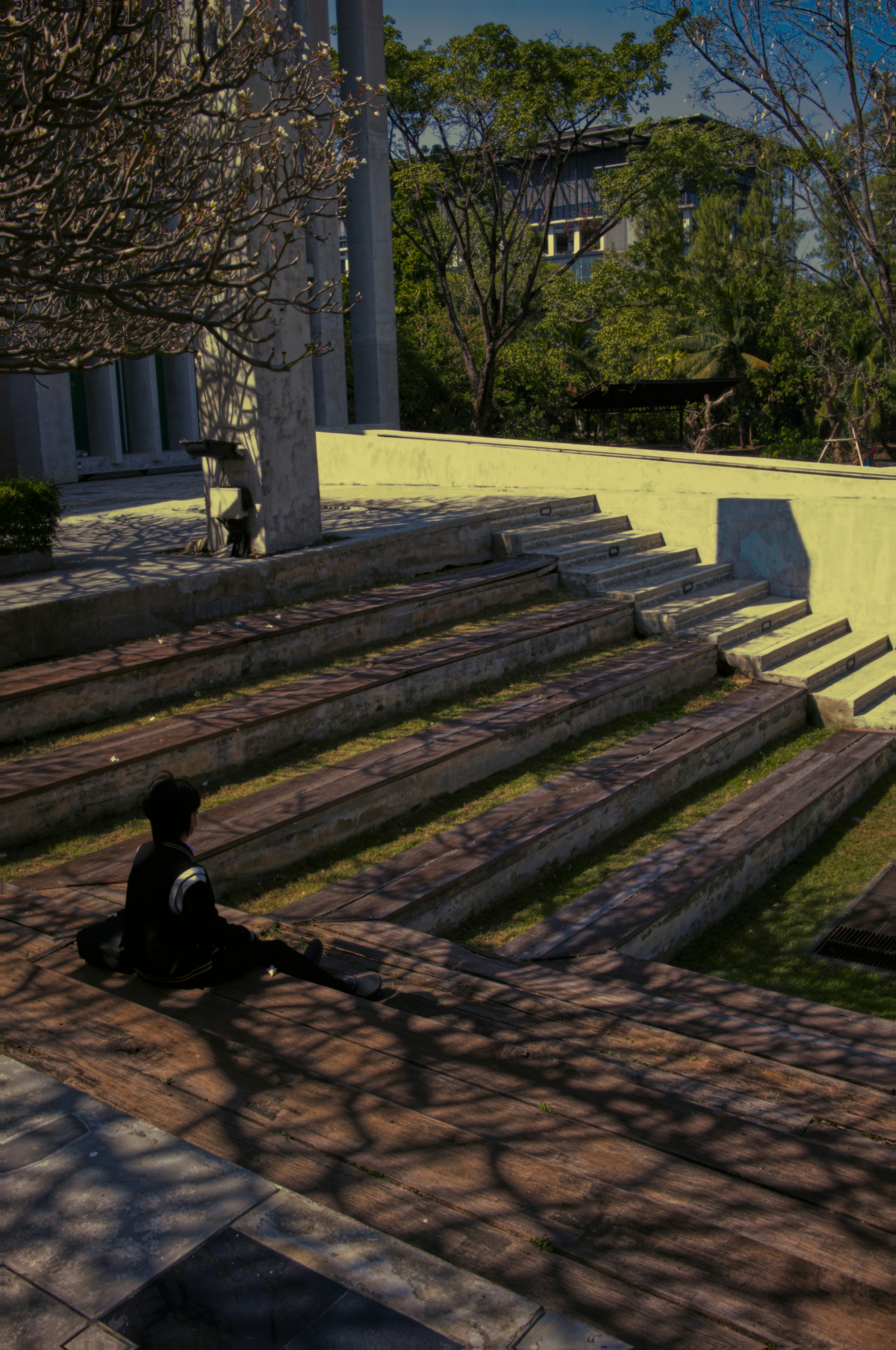 A solitary figure sits in the quiet afternoon light, framed by concrete steps and long tree shadows, where architecture and nature meet in stillness.