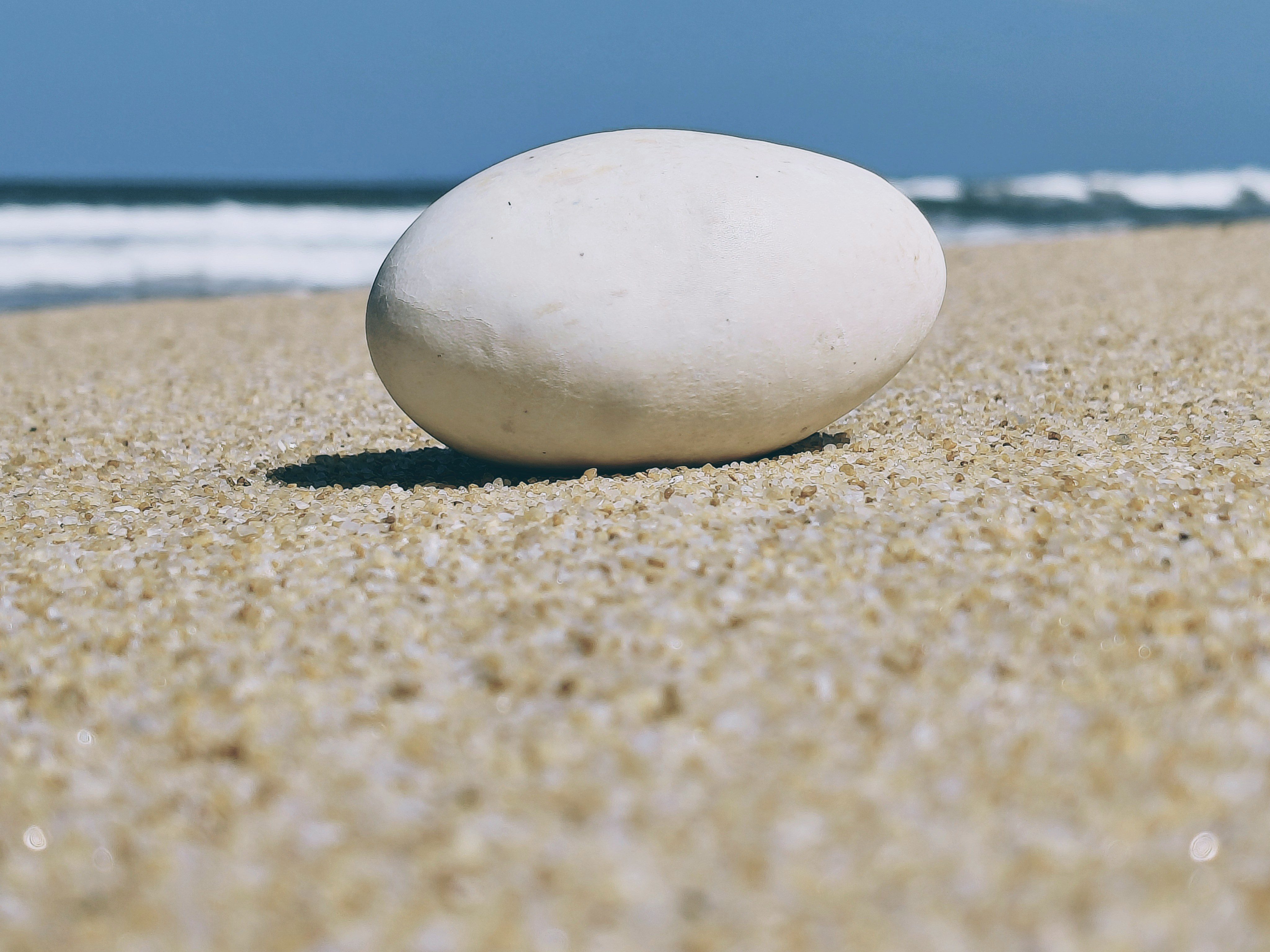 Photo by polarmermaid