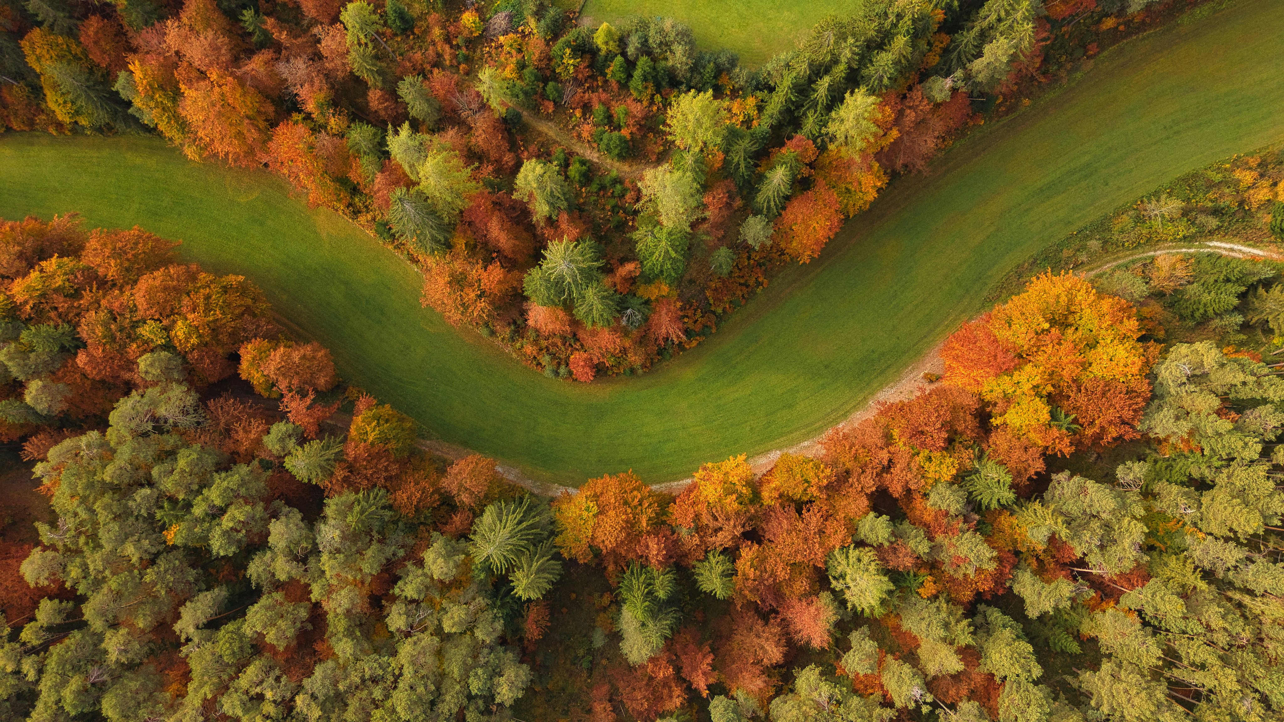 Photo by misterjackdaniel