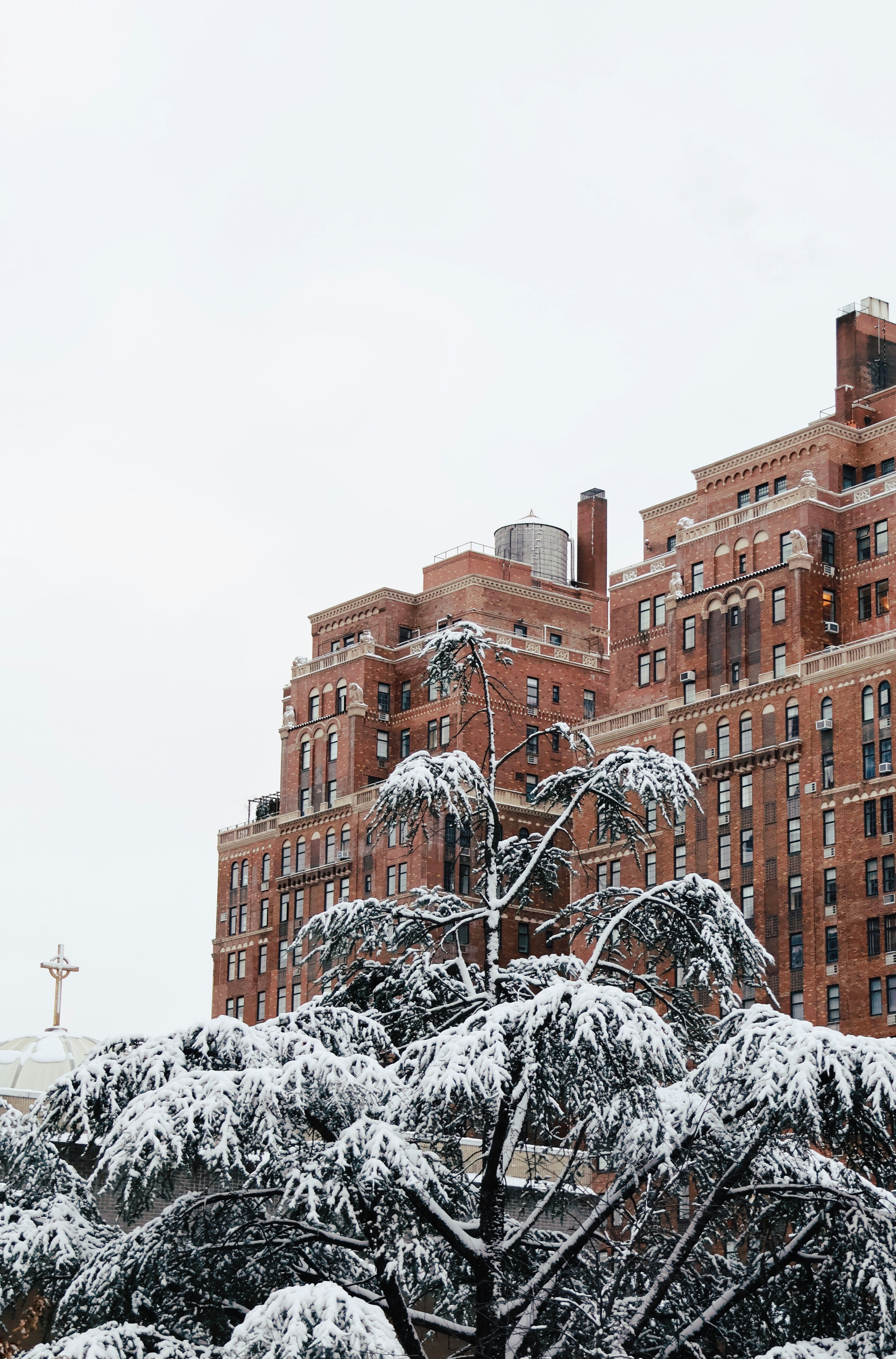 Snow-covered trees in front of a brick building.