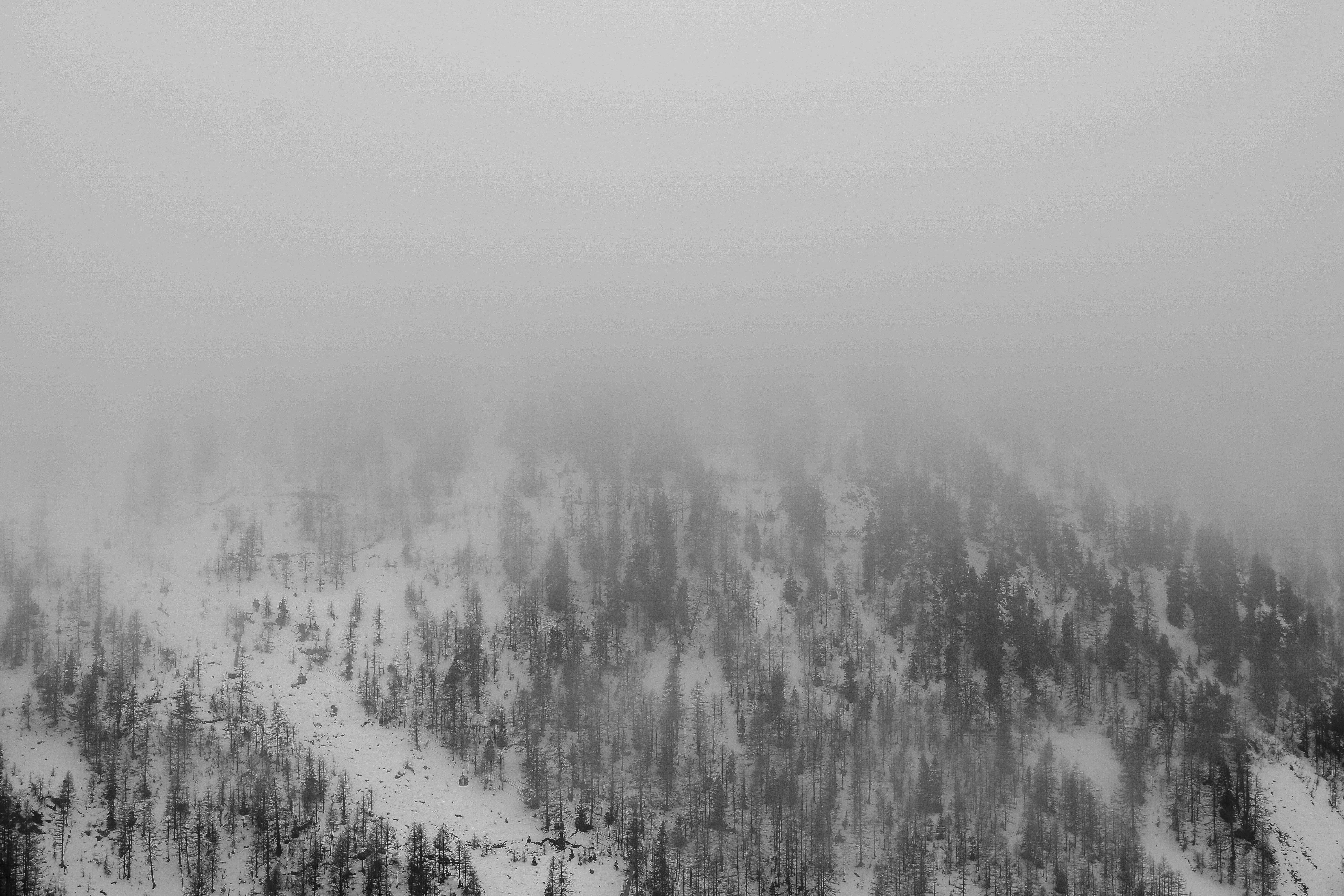 Photo by gaetanthurin