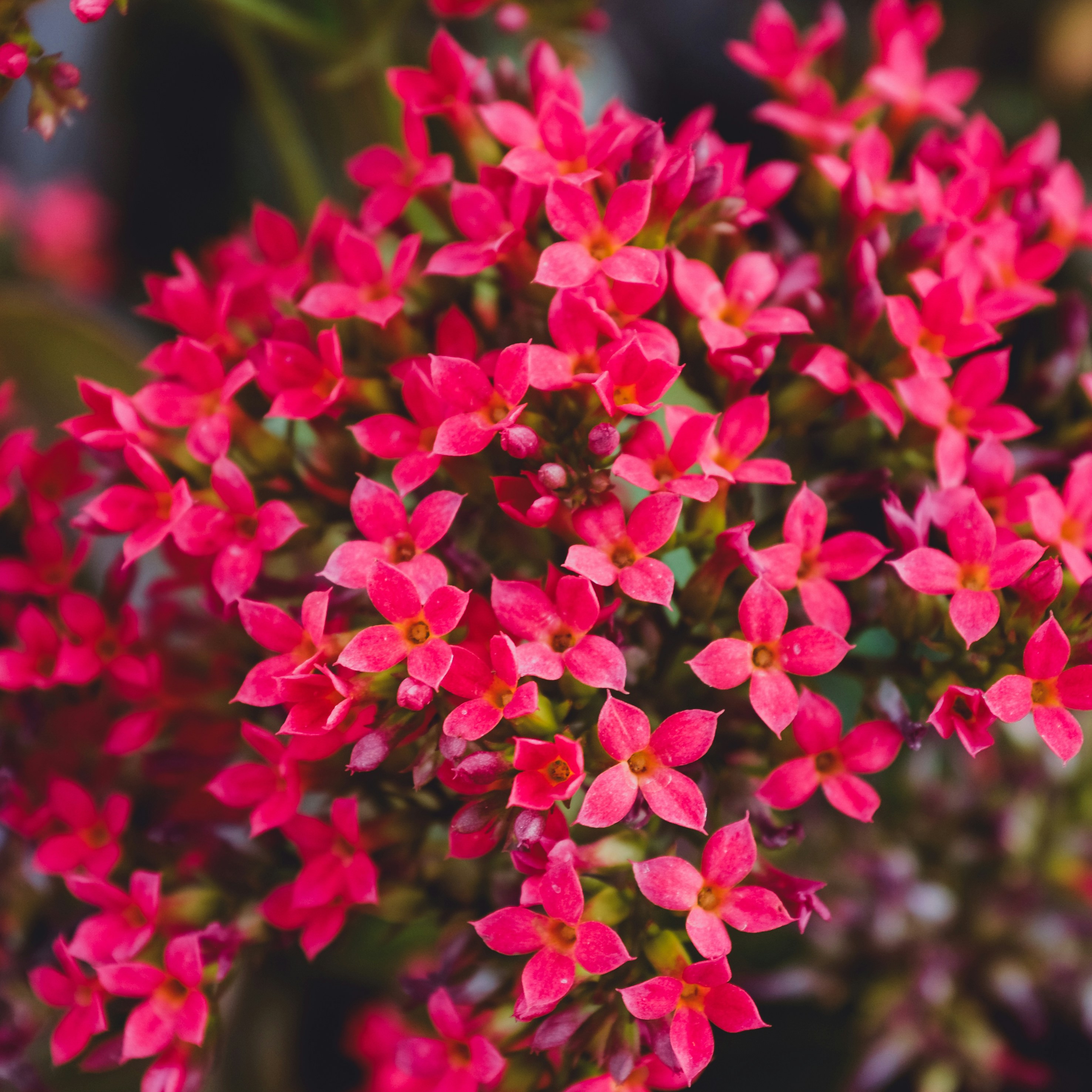 Photo by oldsoulframes