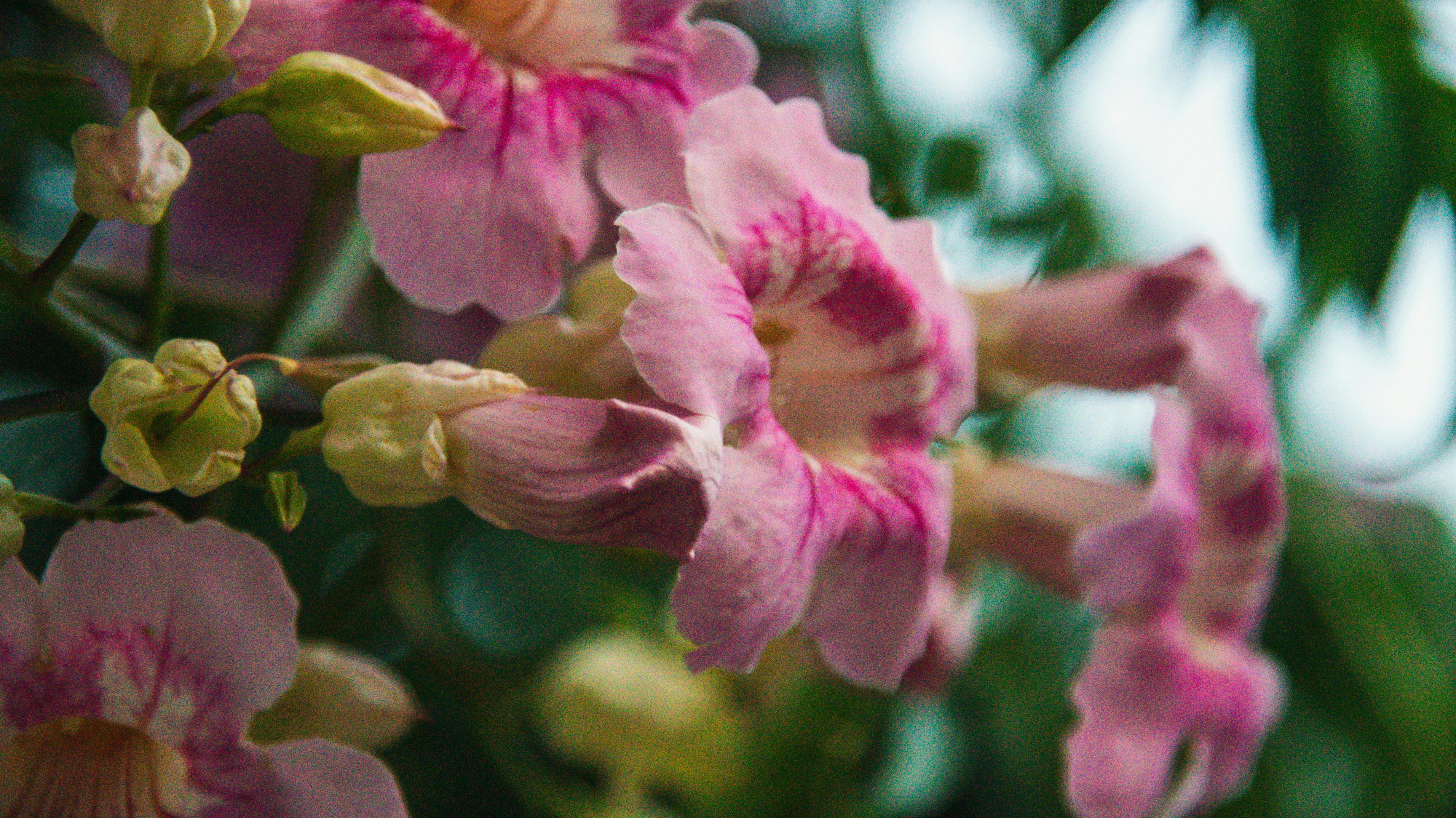 Photo by oldsoulframes