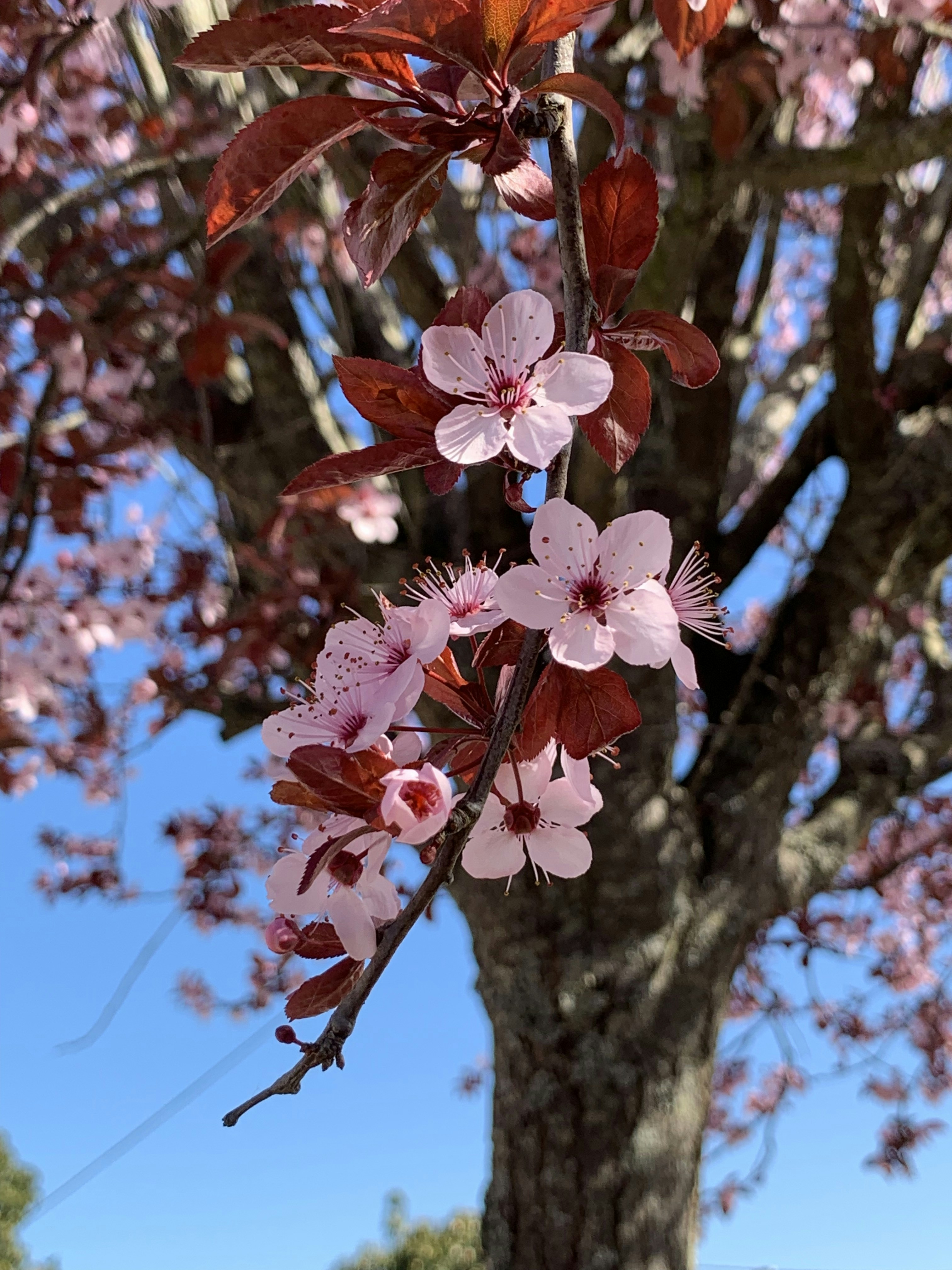 Photo by sergei_gussev