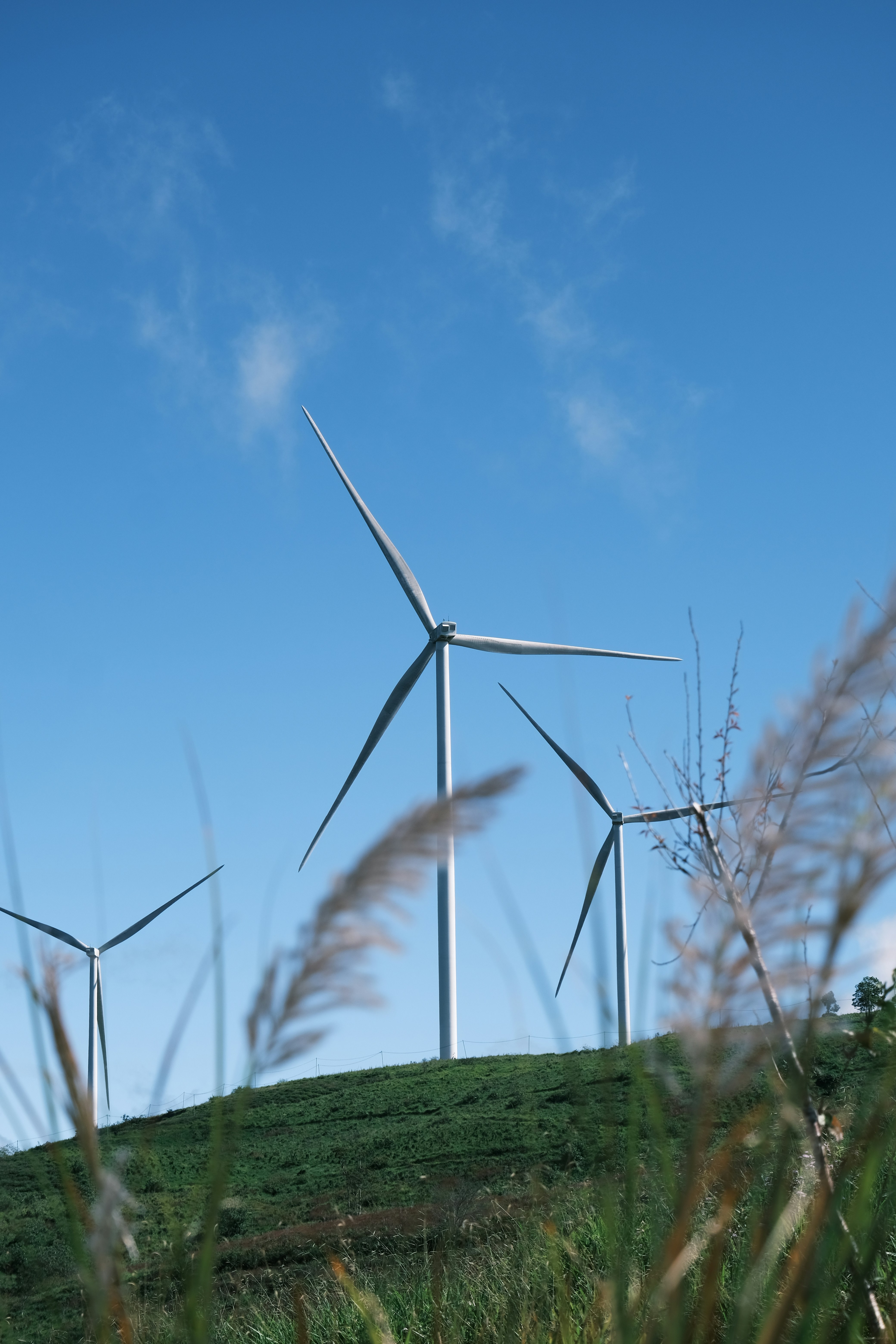 Wind turbines on a grassy hill under blue sky