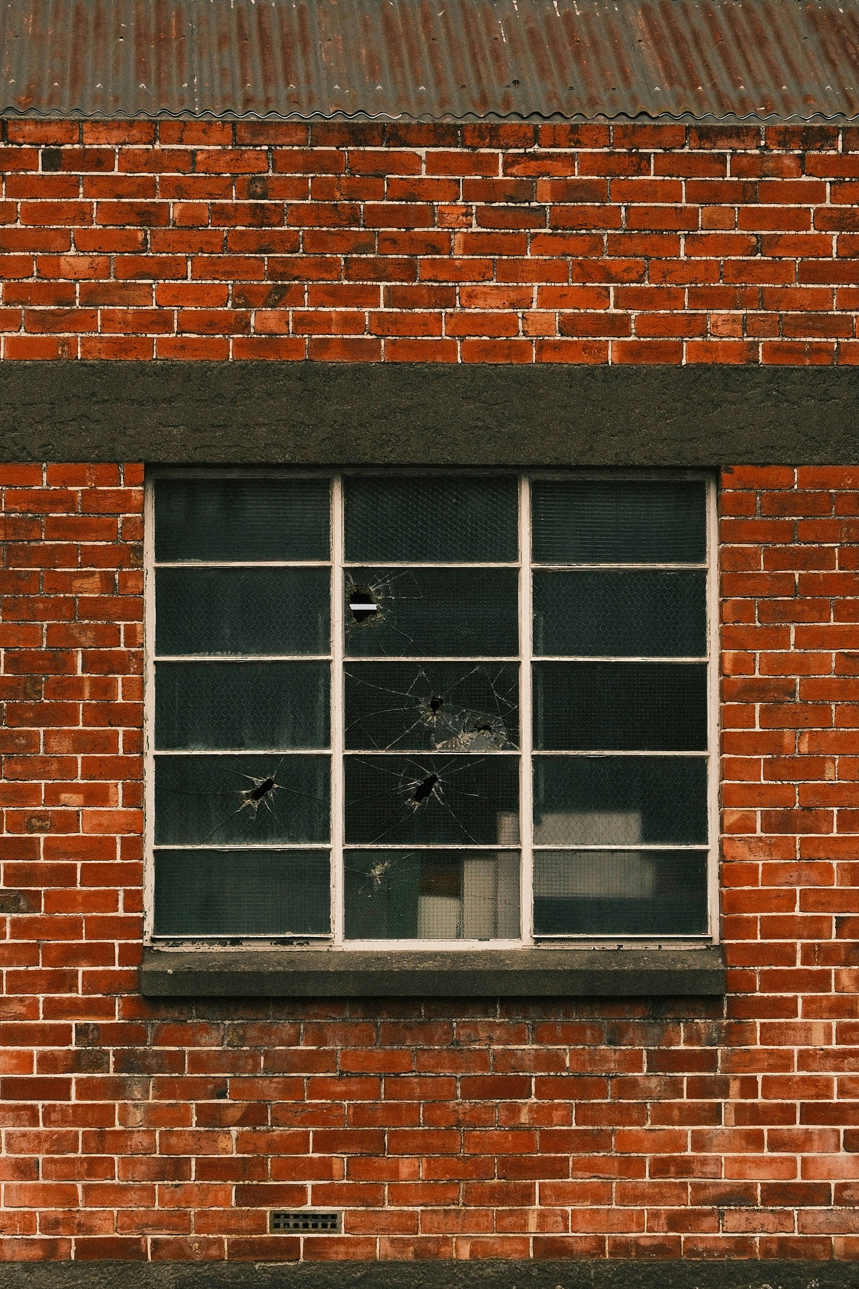 Photo by ginkgoshutter