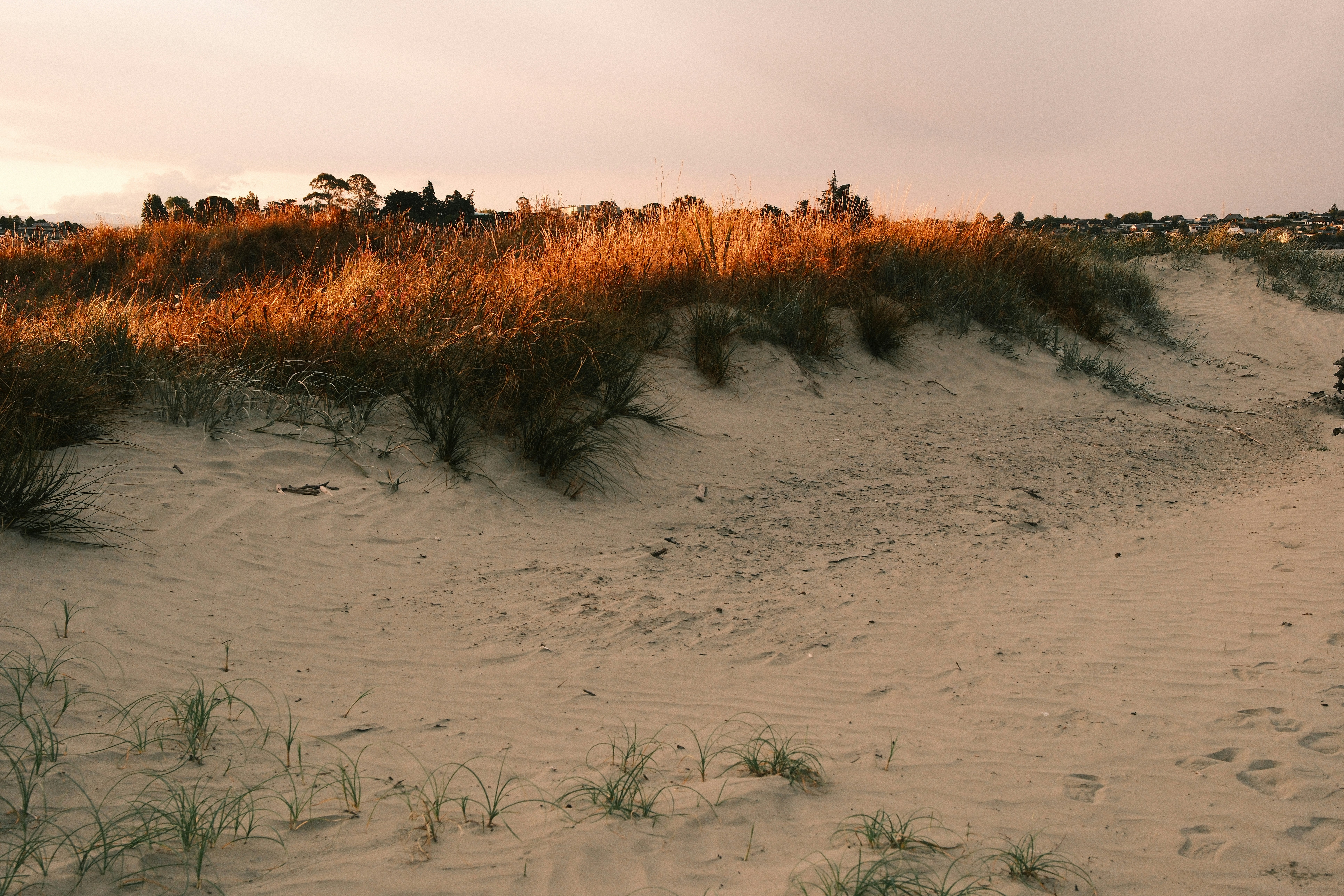 Photo by ginkgoshutter