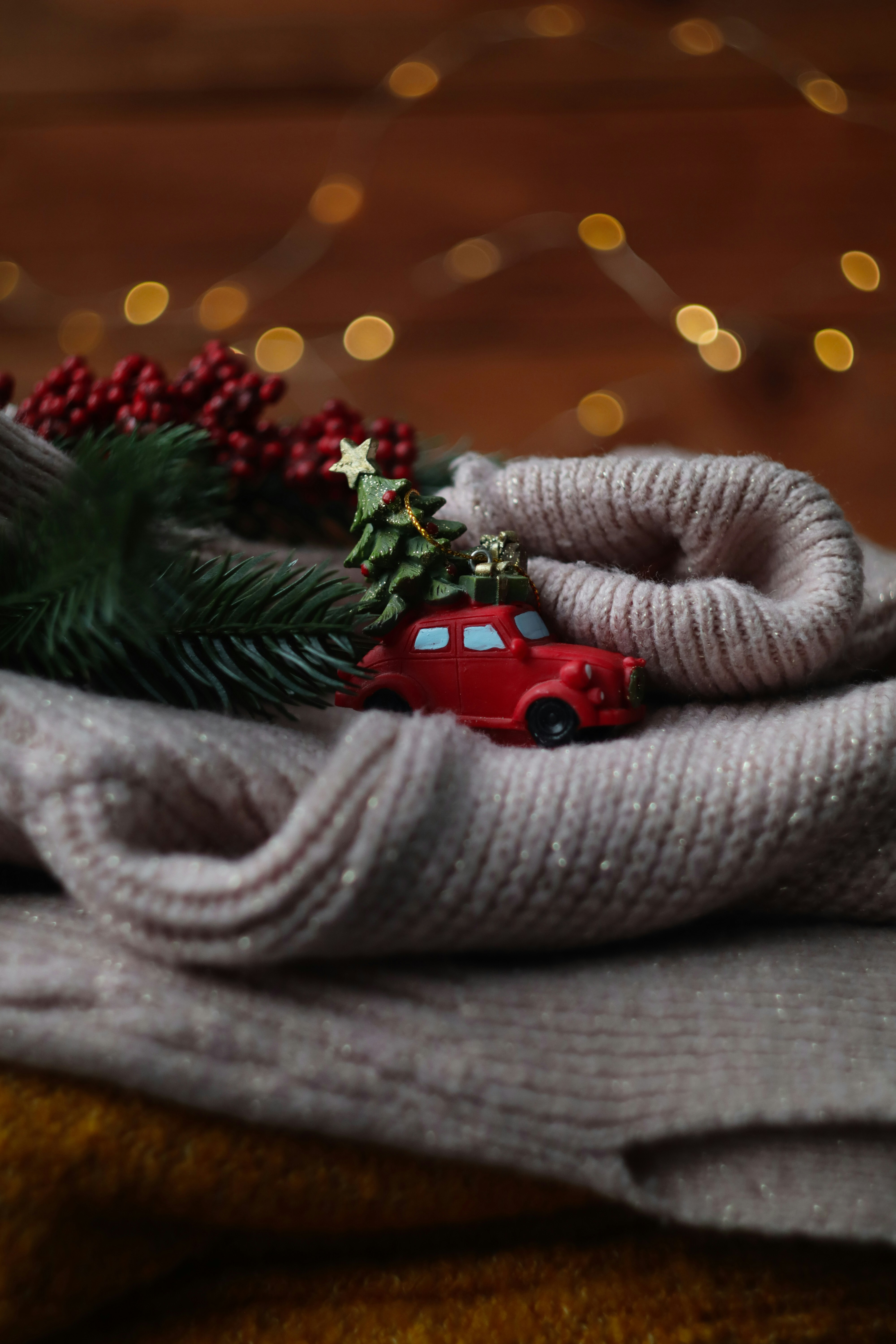 Red toy car with christmas tree and berries on sweater.