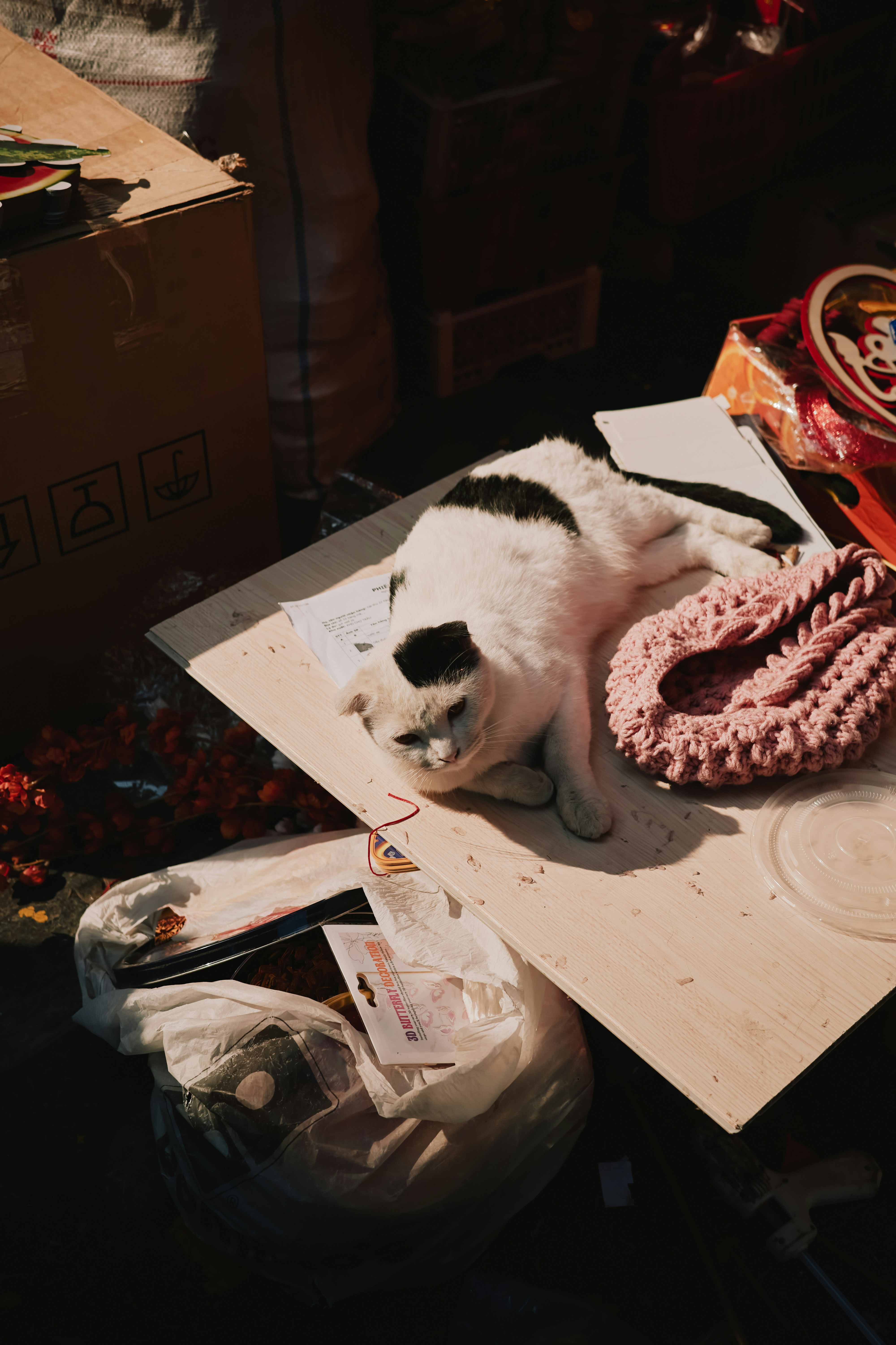 黒と白の猫が平らな場所に横たわっています。