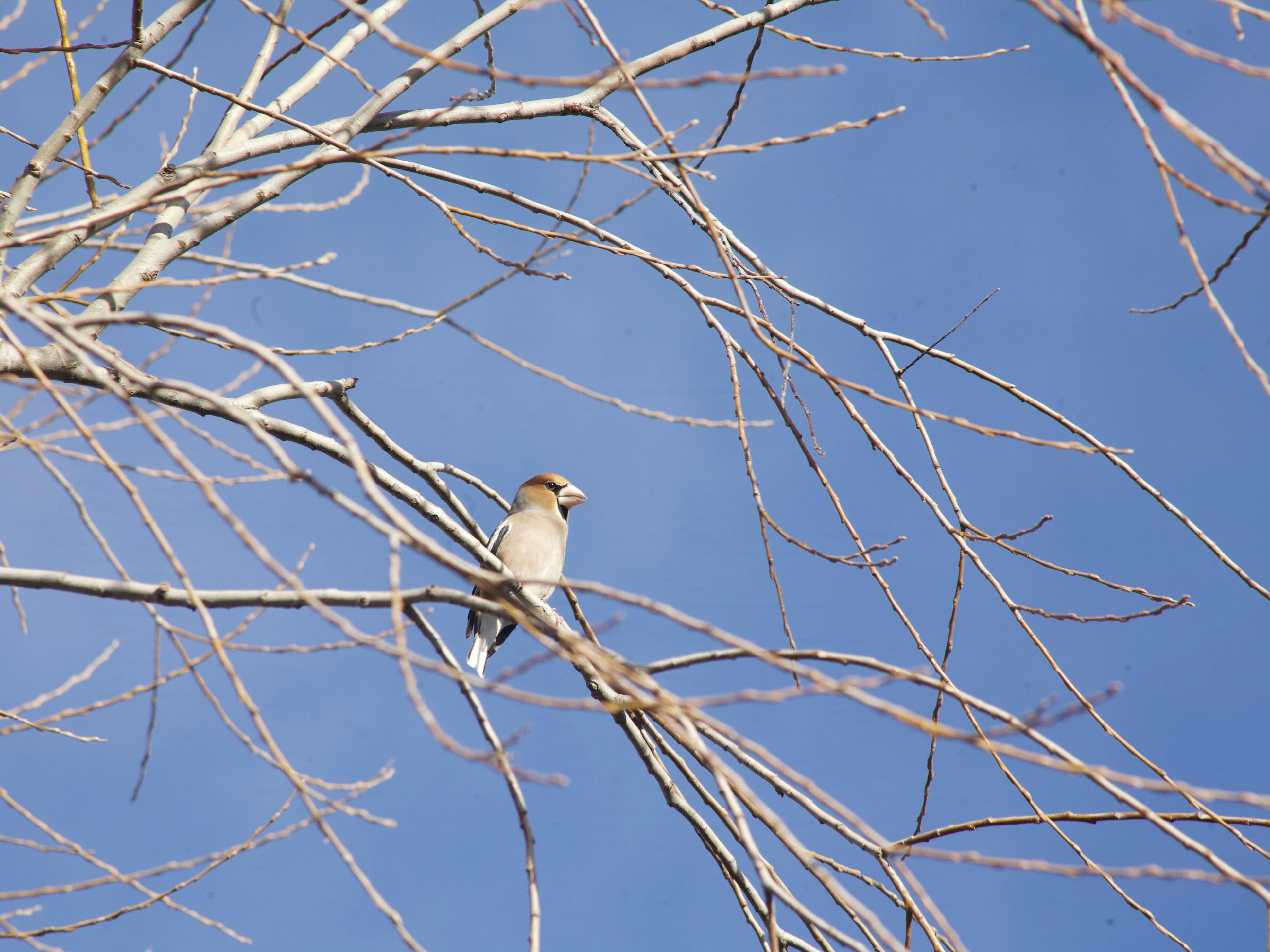 Photo by sandorfehervari