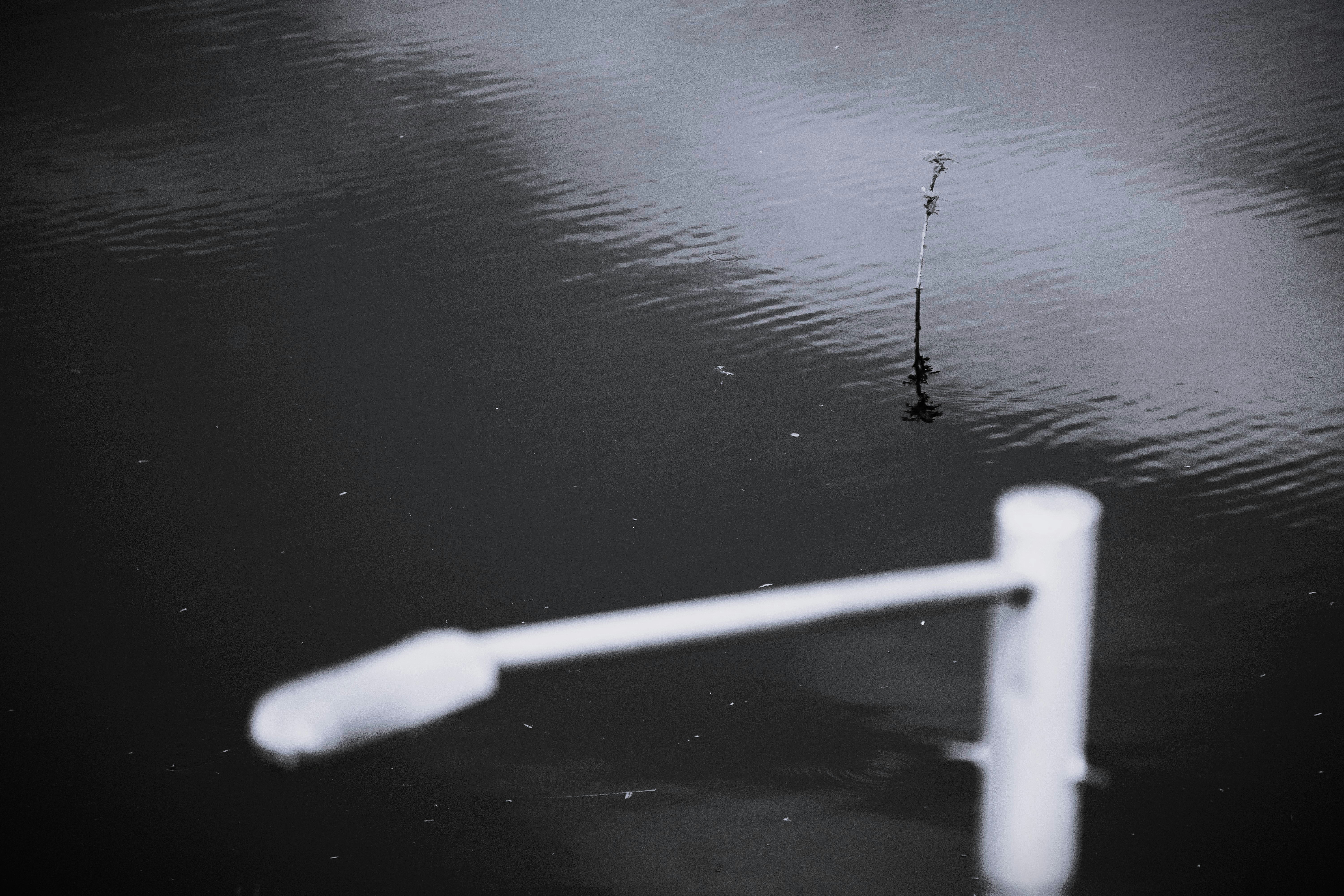 Photo by blibityblabity