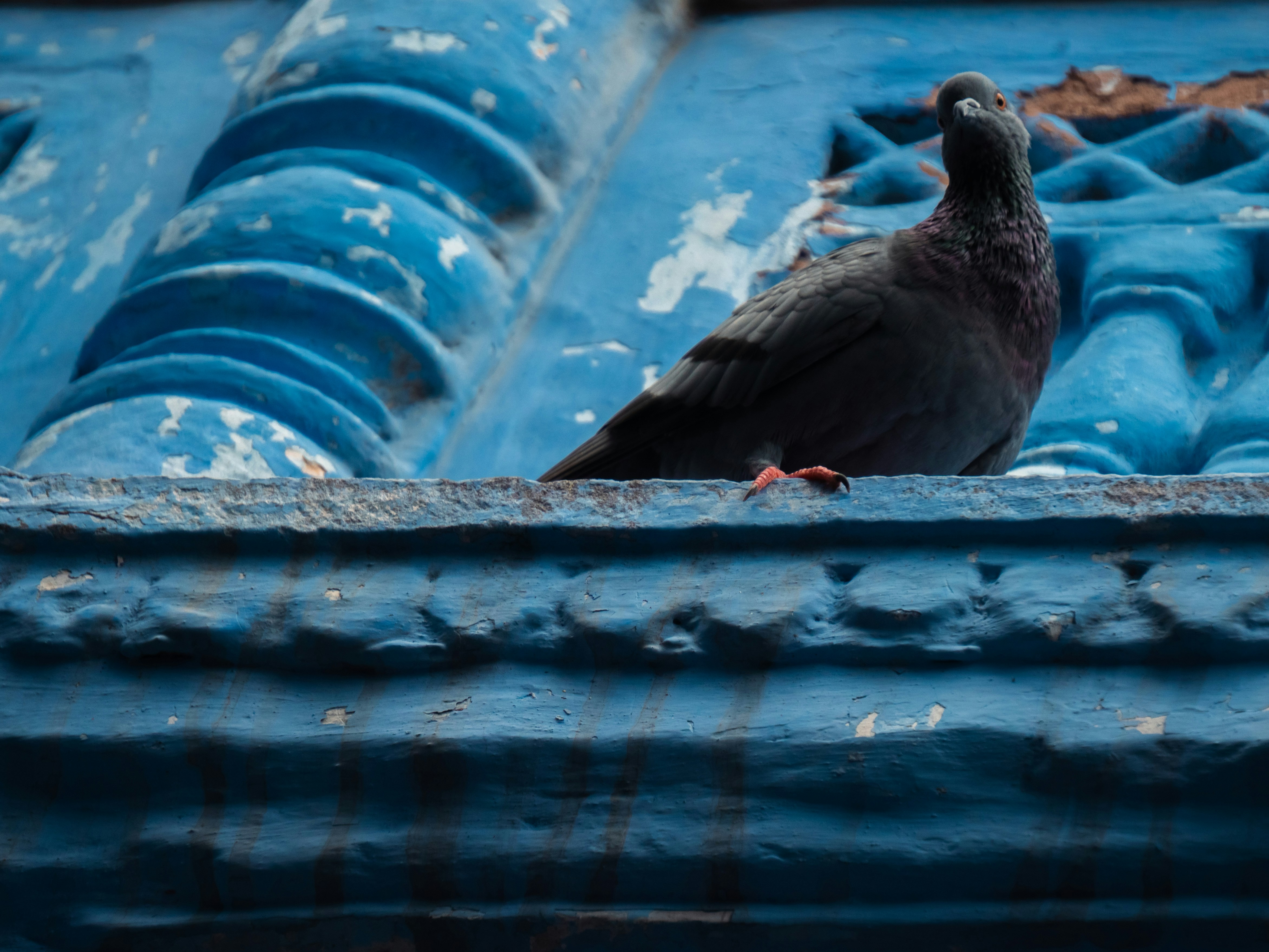 Photo by blibityblabity