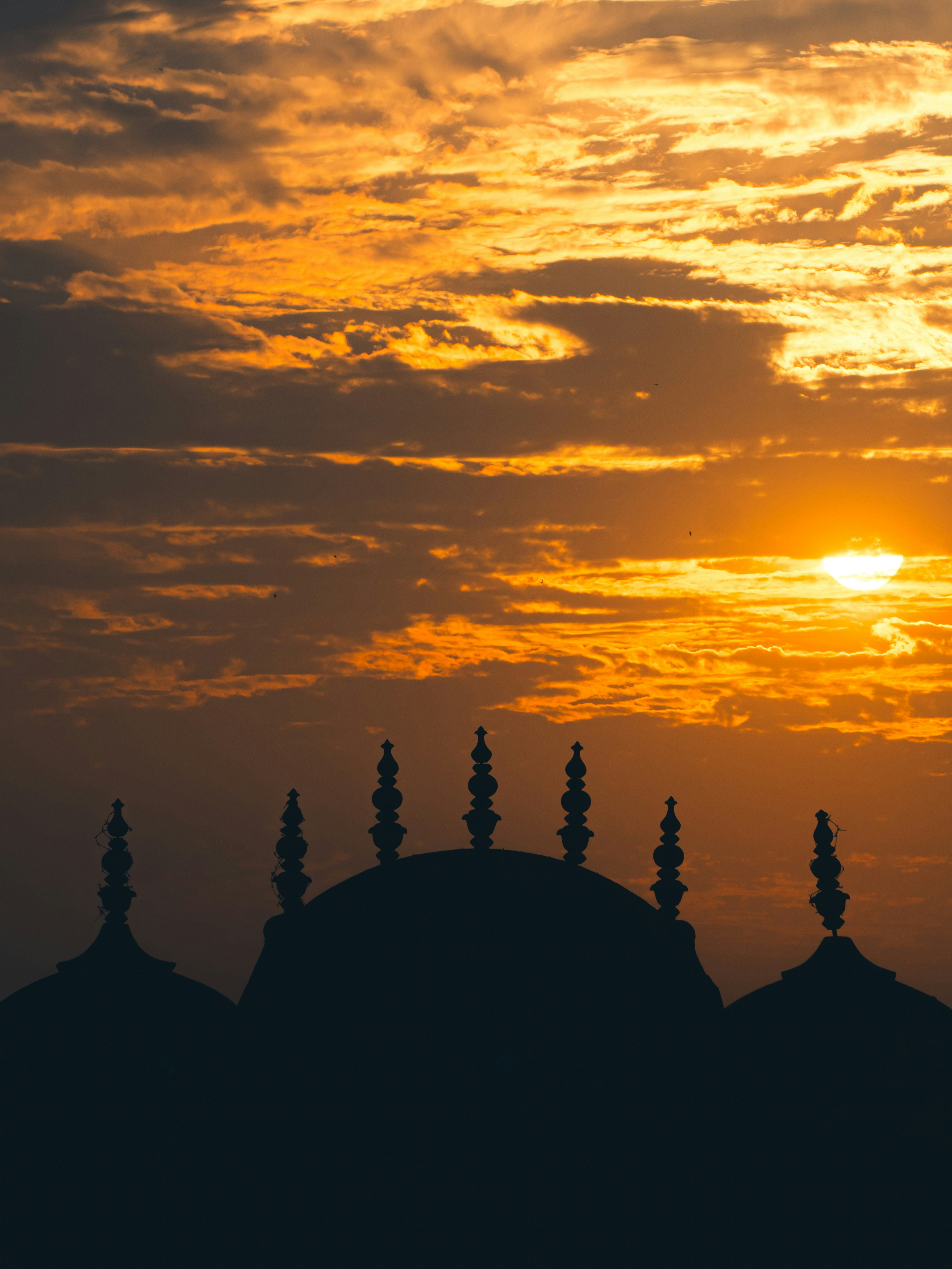 Photo by blibityblabity