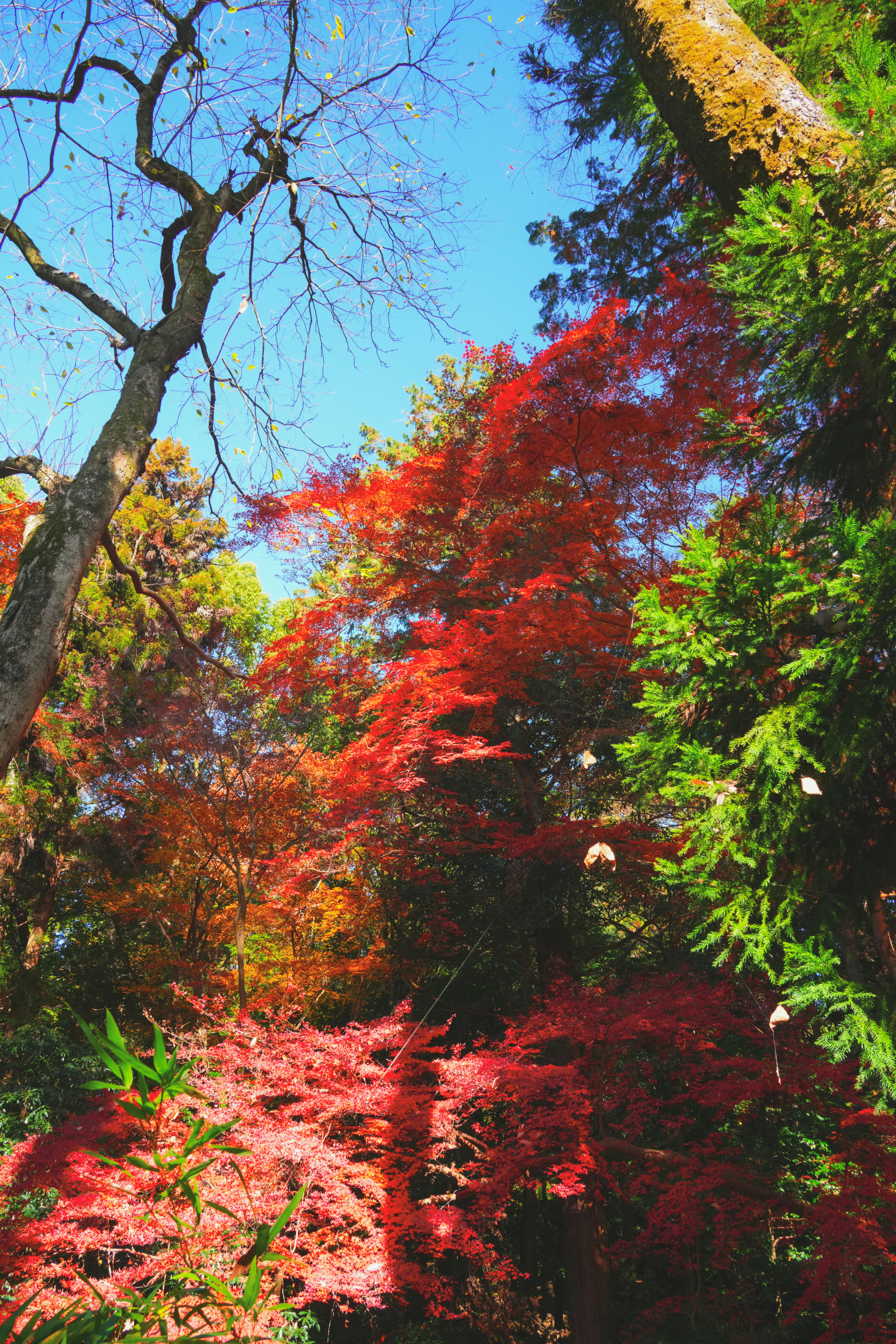 Photo by hattrick1996