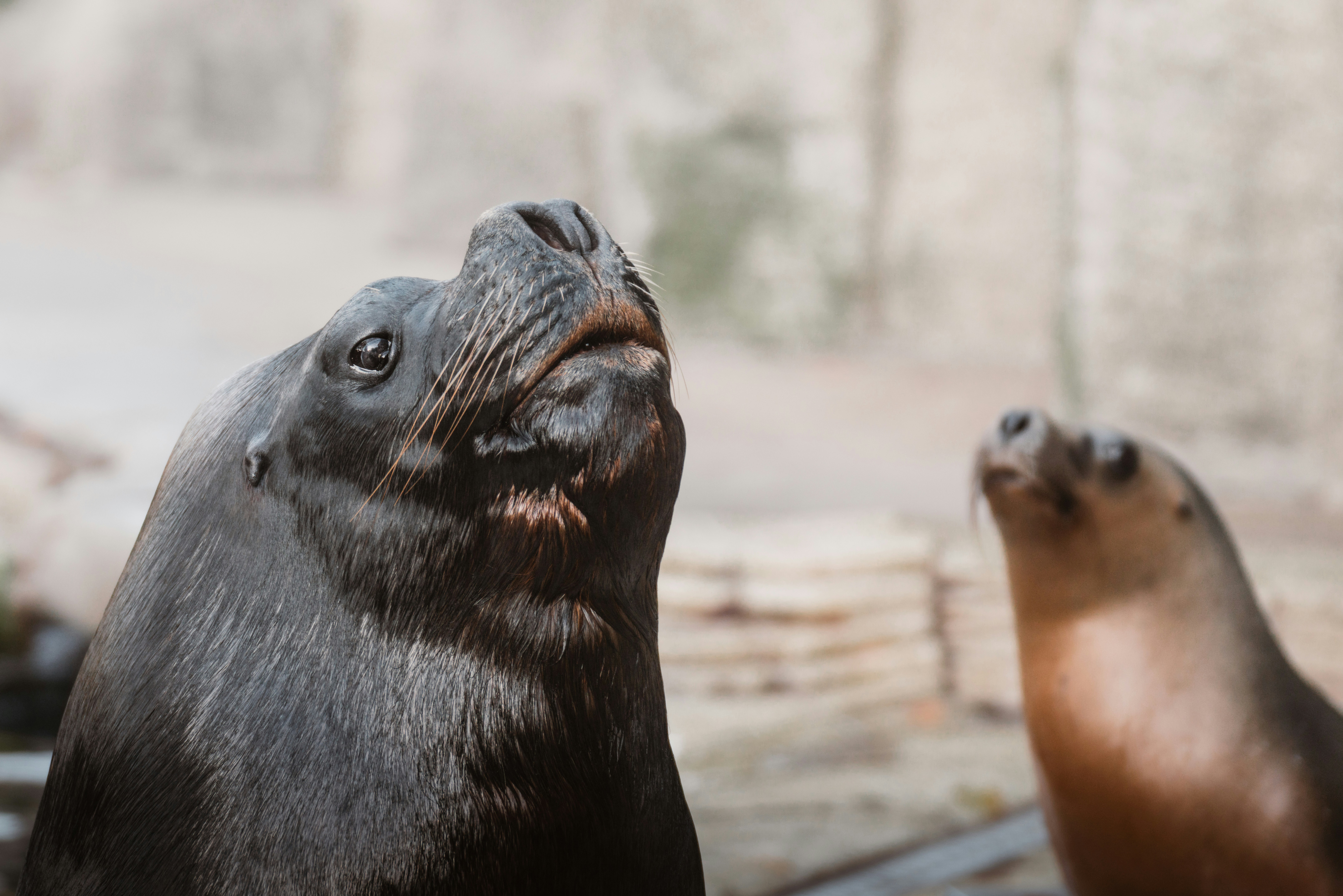 Photo by ahmetyuksek