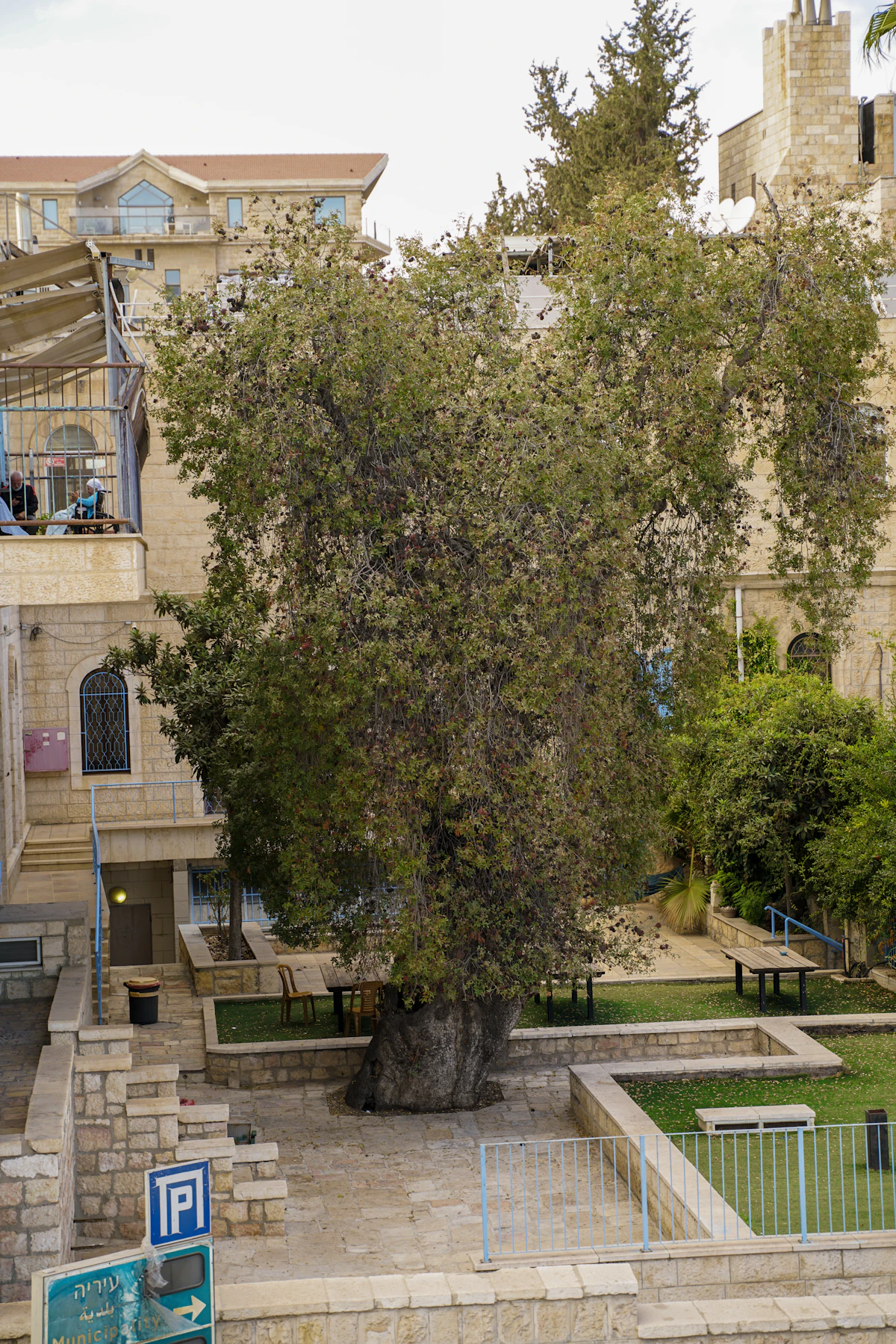 Stone residential buildings around a shaded Jerusalem courtyard