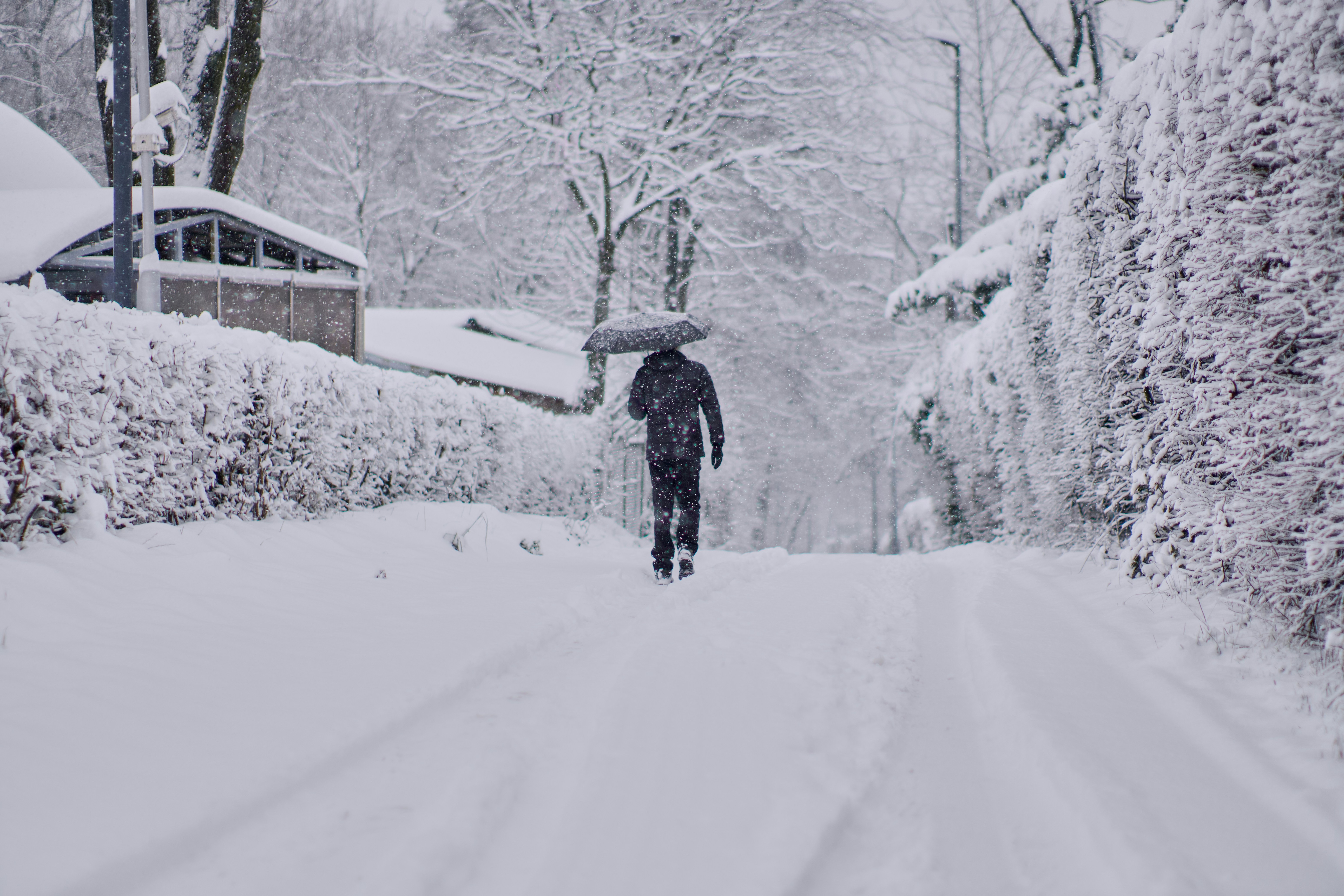 Photo by toffeeposibilities