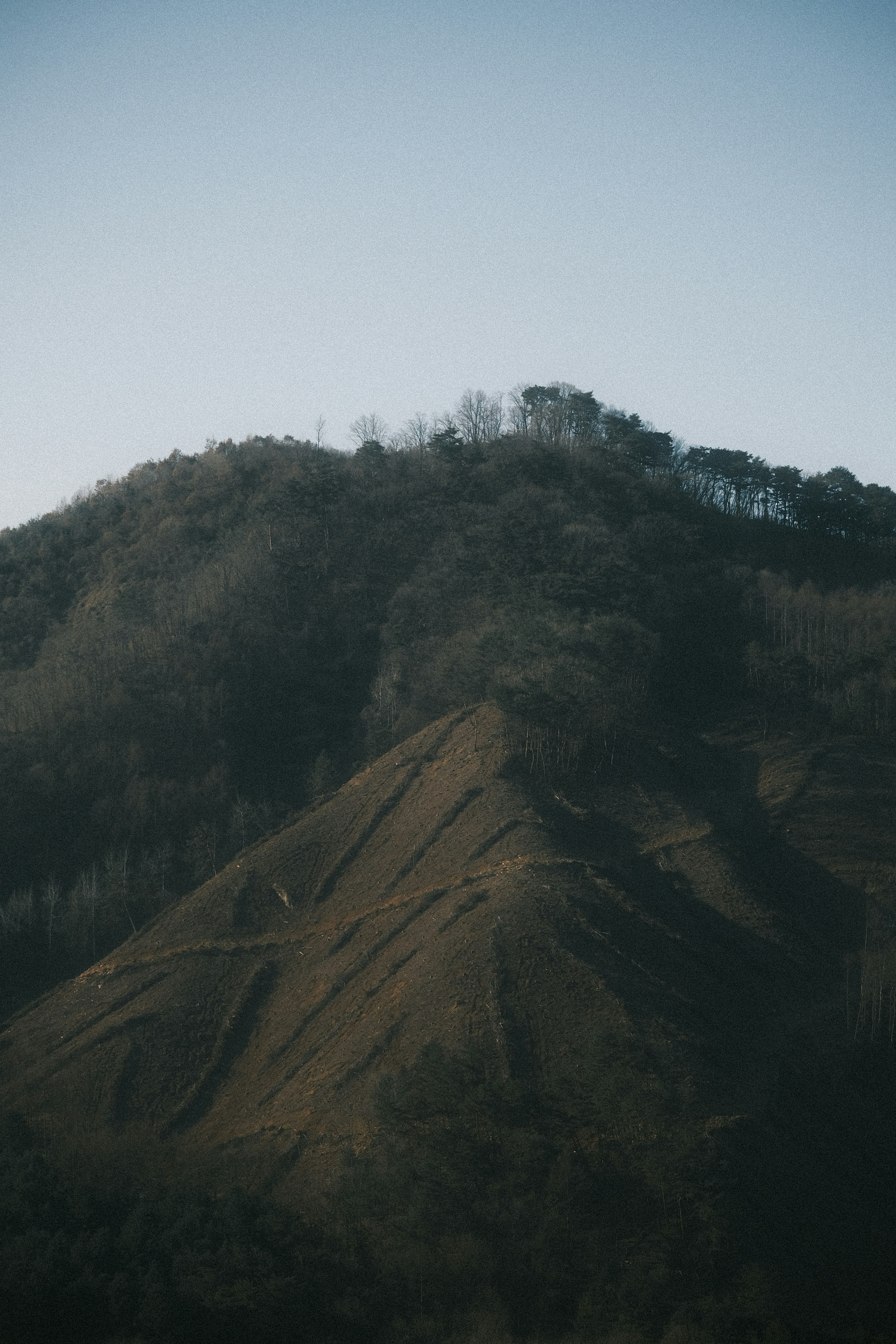 A dark, forested mountain slope under a clear sky
