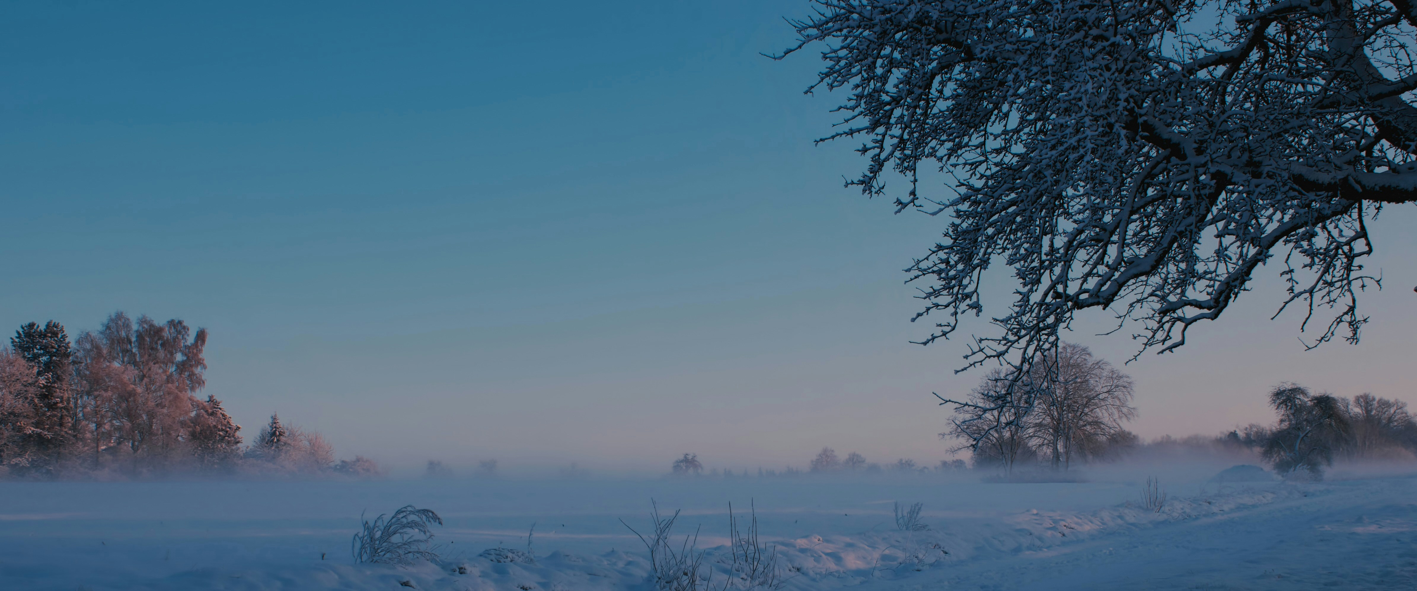 Photo by annie_kramer74